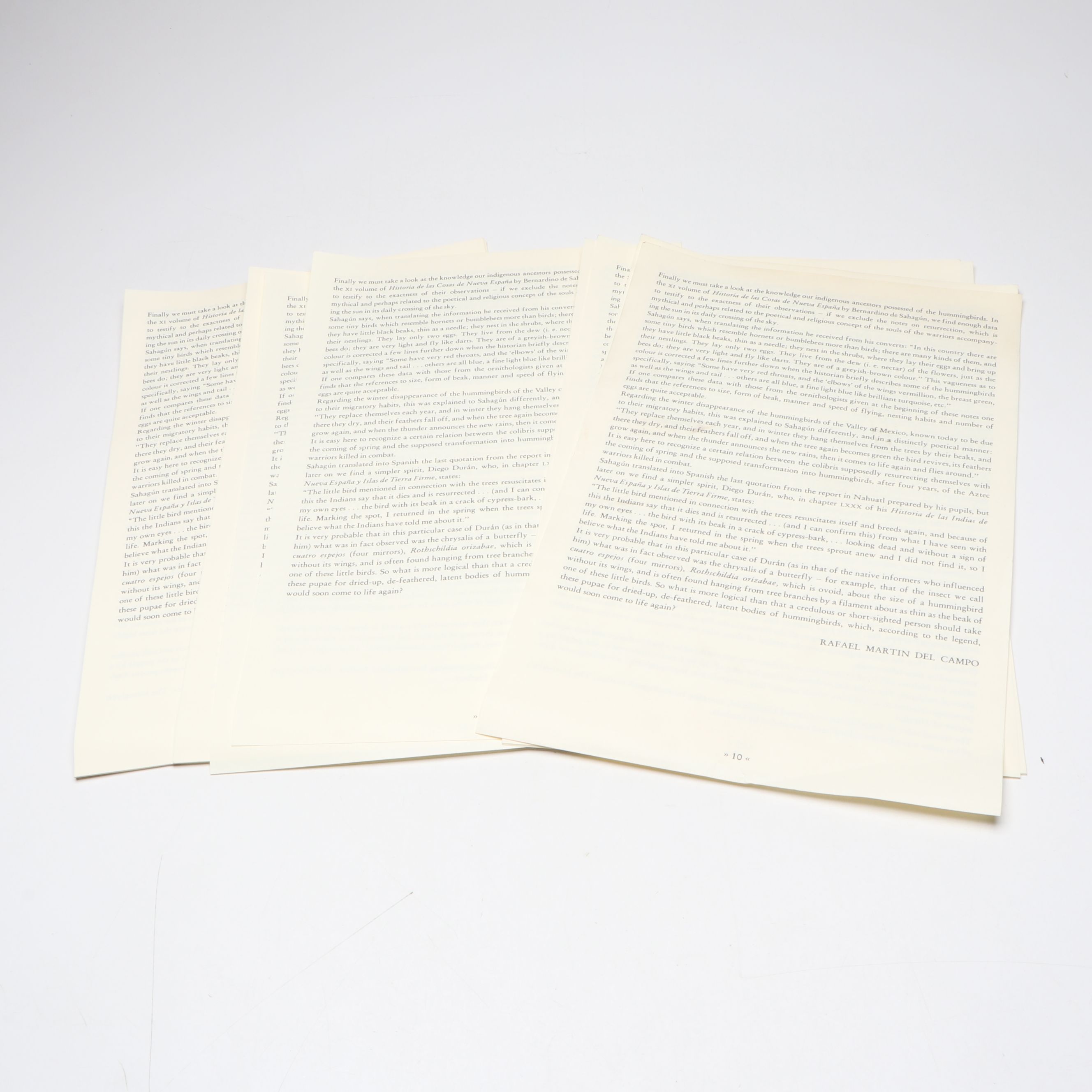 "The Hummingbirds of Mexico" Excerpt by  Rafael Martin del Campo