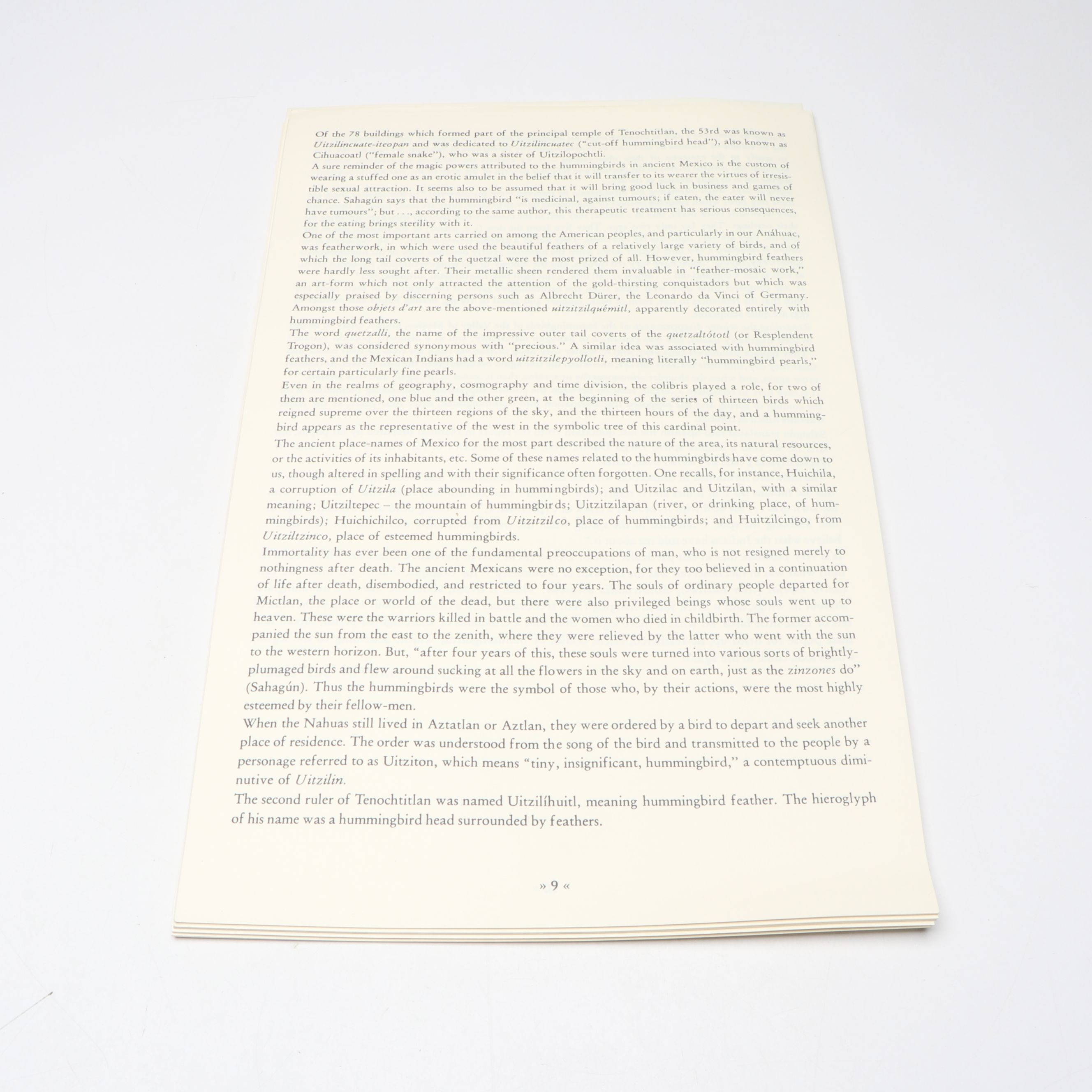 "The Hummingbirds of Mexico" Excerpt by  Rafael Martin del Campo