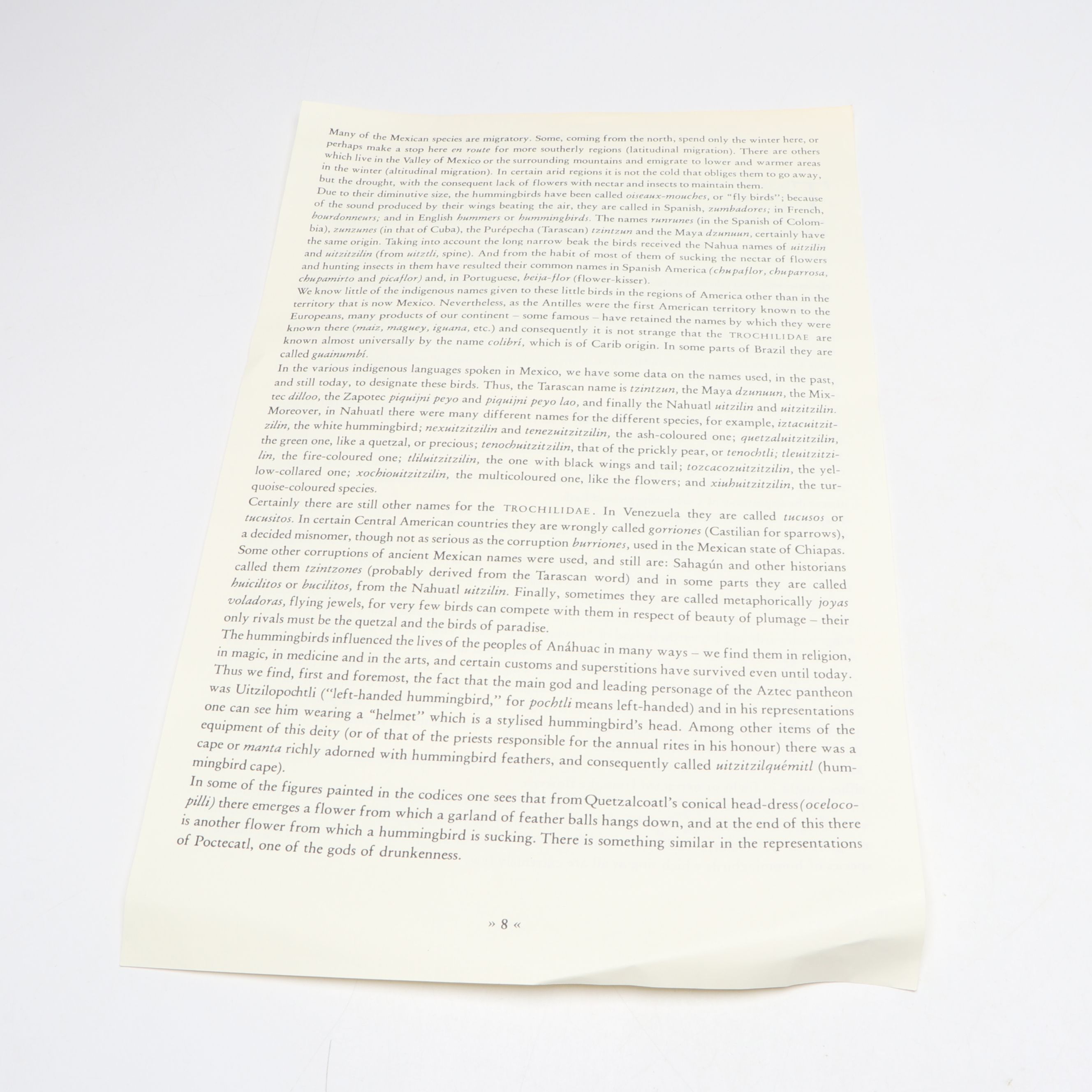 "The Hummingbirds of Mexico" Excerpt by  Rafael Martin del Campo