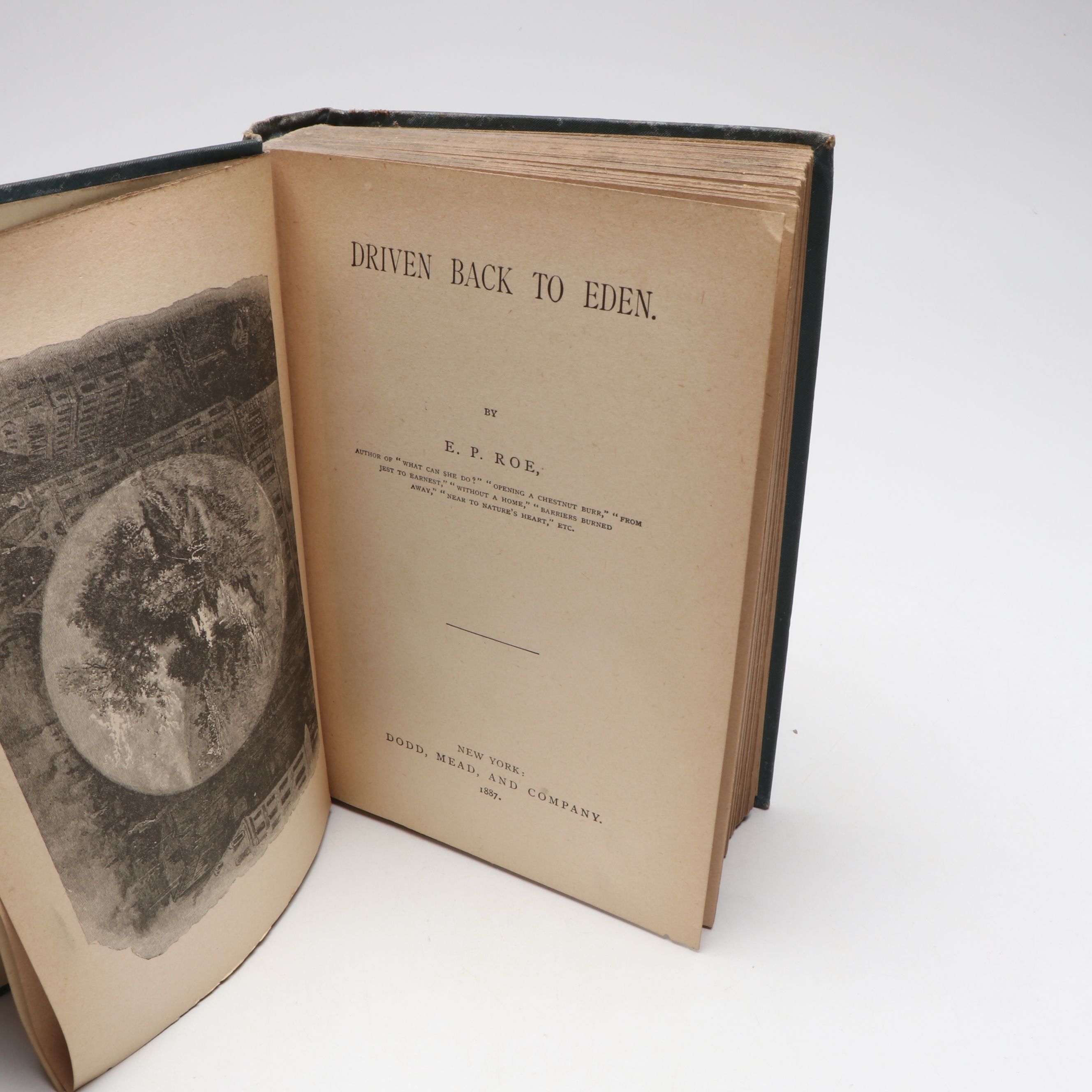 "Driven Back to Eden," "Myths of Old Greece," and More Books