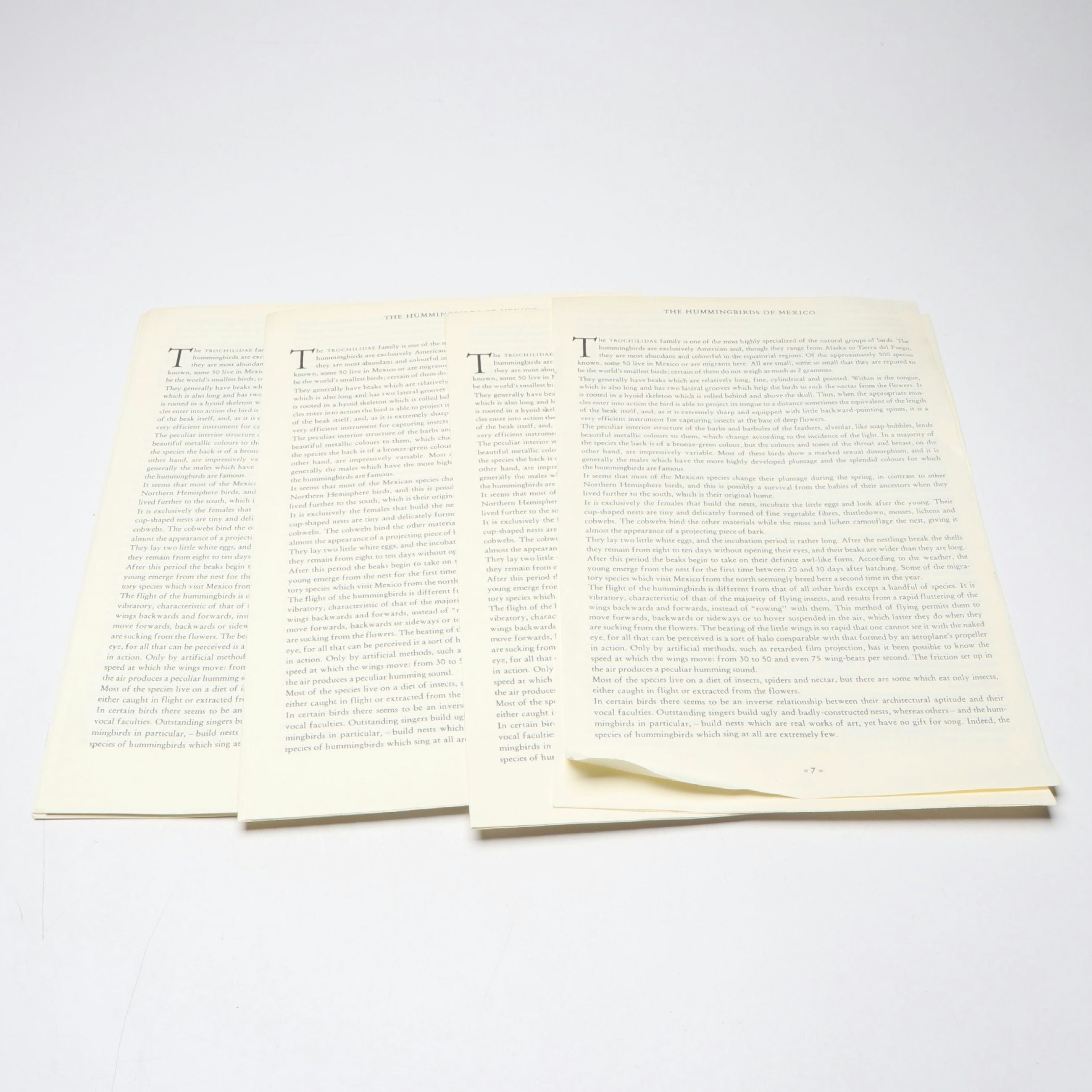 "The Hummingbirds of Mexico" Excerpt by  Rafael Martin del Campo