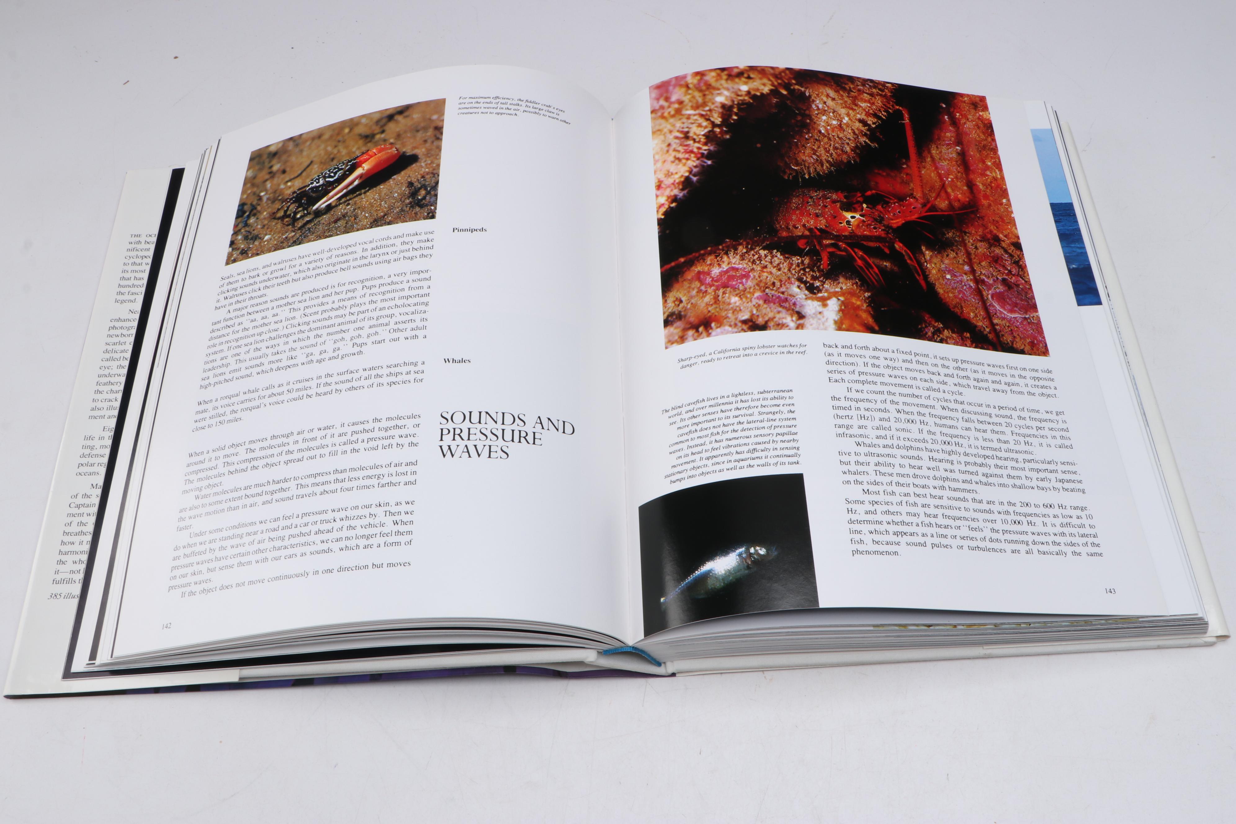 Illustrated "The Ocean World" by Jacques Cousteau, 1985