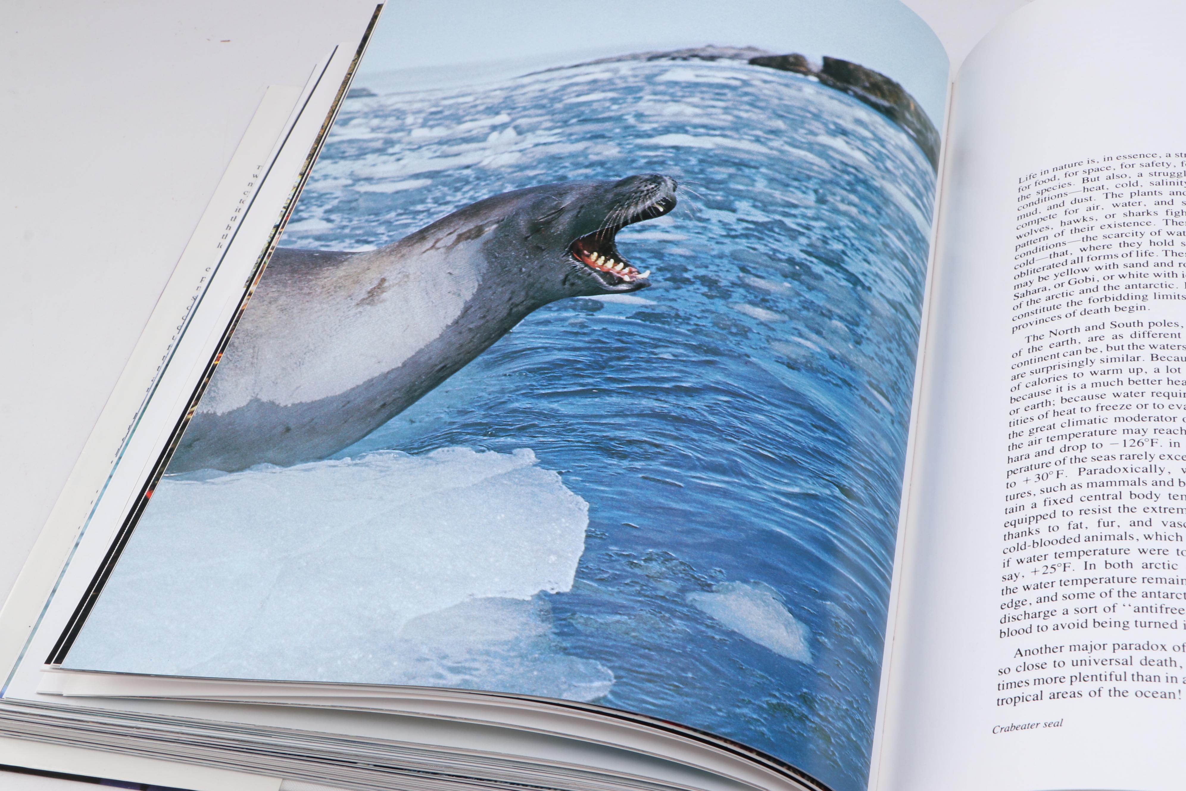 Illustrated "The Ocean World" by Jacques Cousteau, 1985