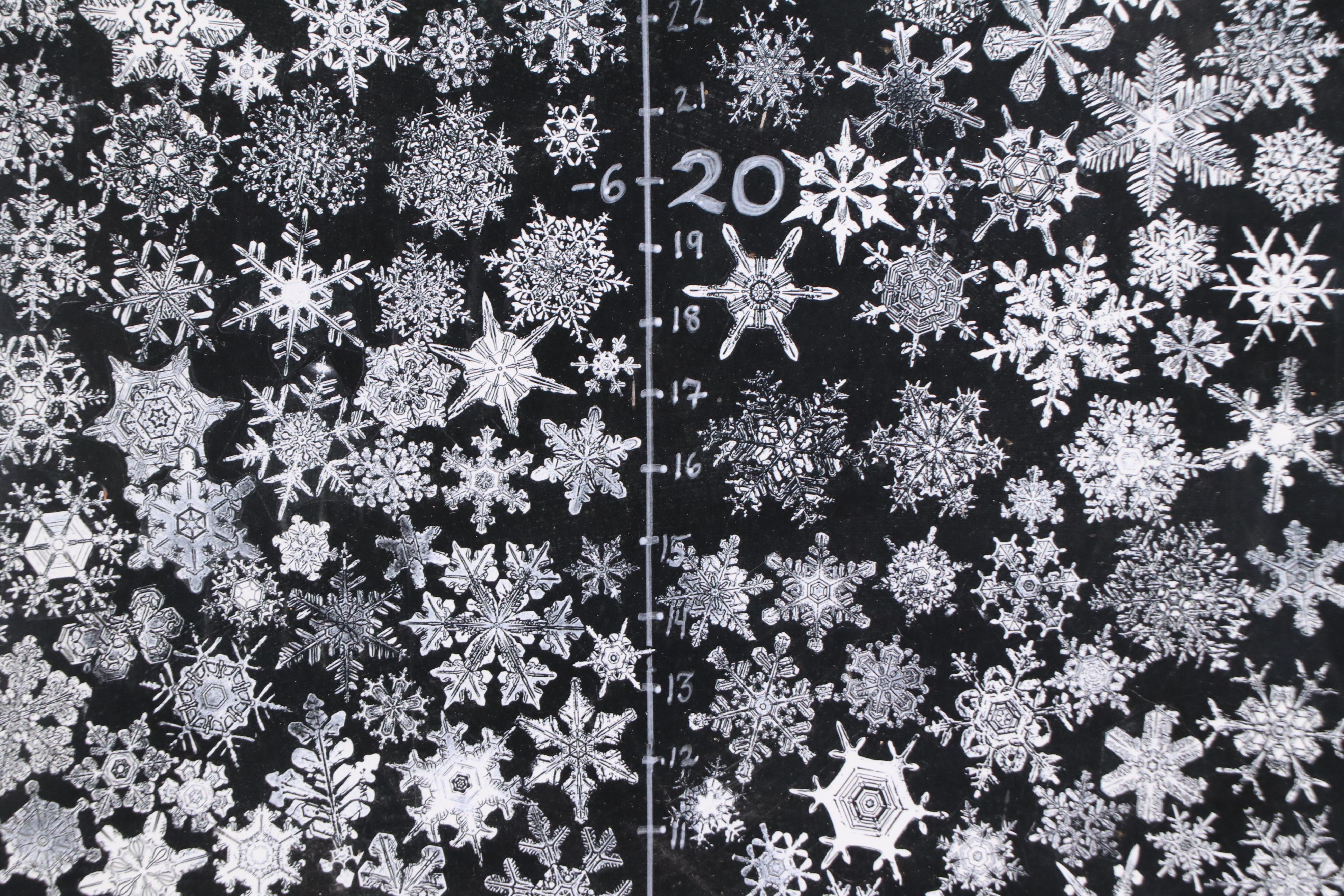 Giclée After Dorothy Wallace-Senft "Snowflake Thermometer," 2003