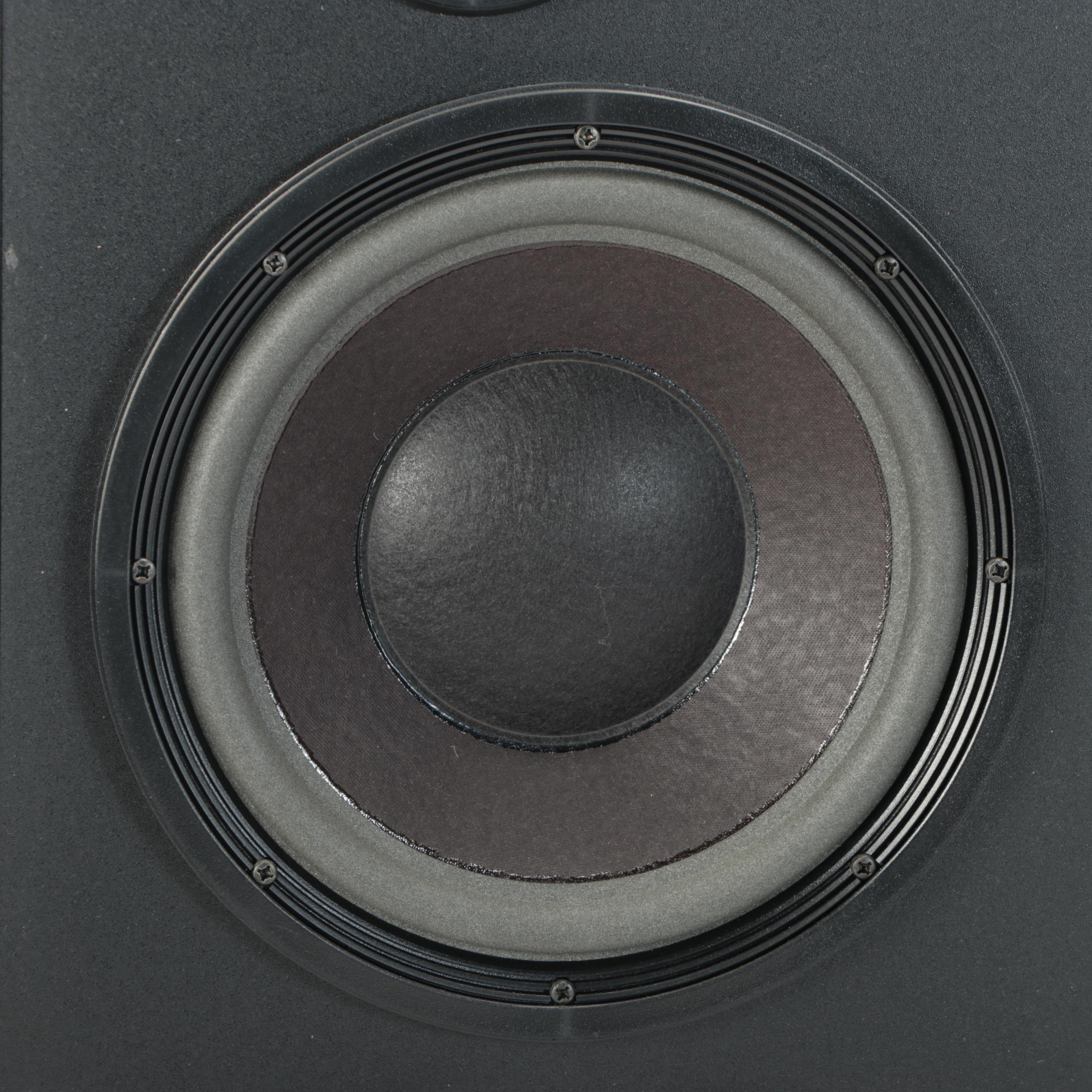 Bose Interaudio 4000 Speaker System