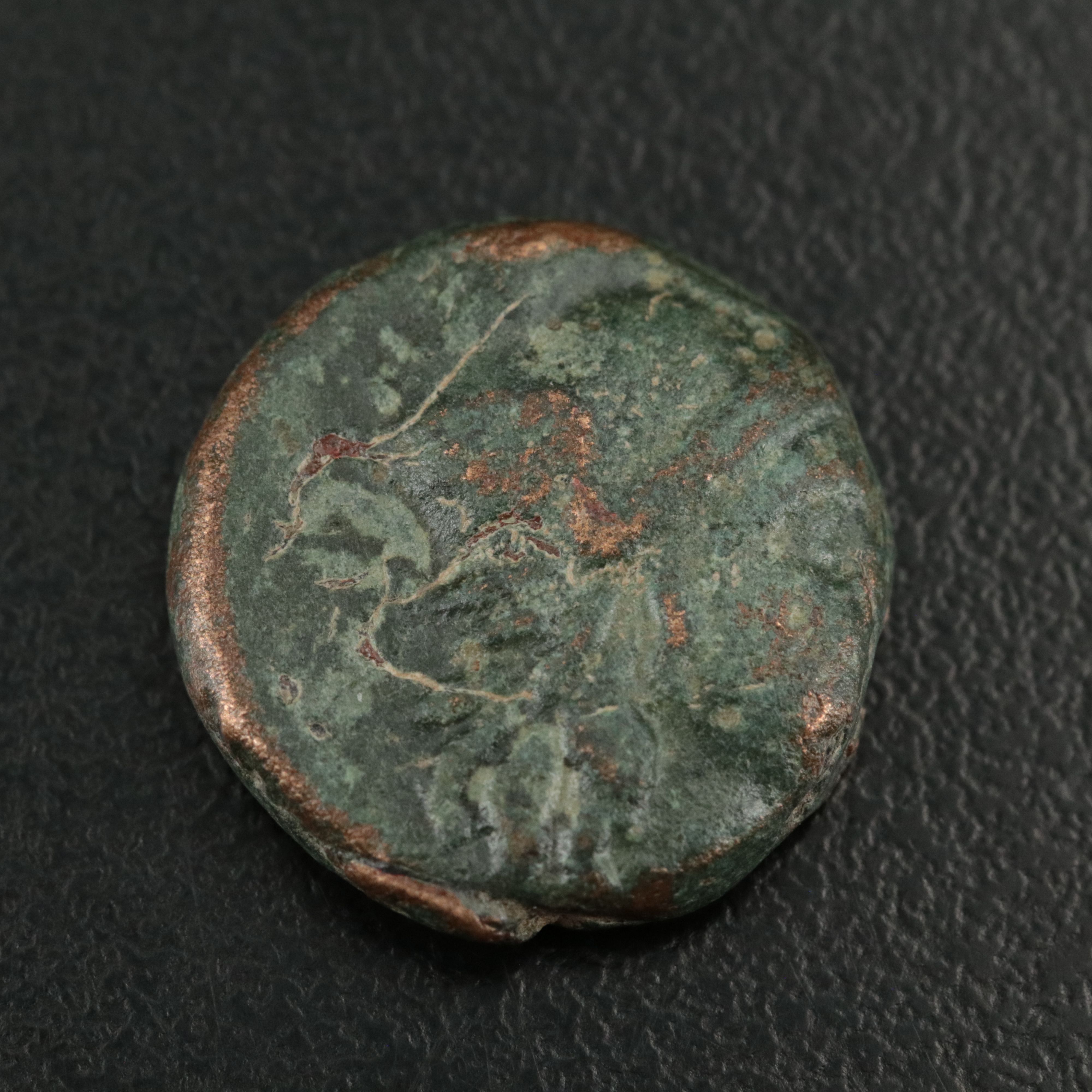Ancient Sicily, Kamarina Æ16 Coin, ca. 300 B.C.