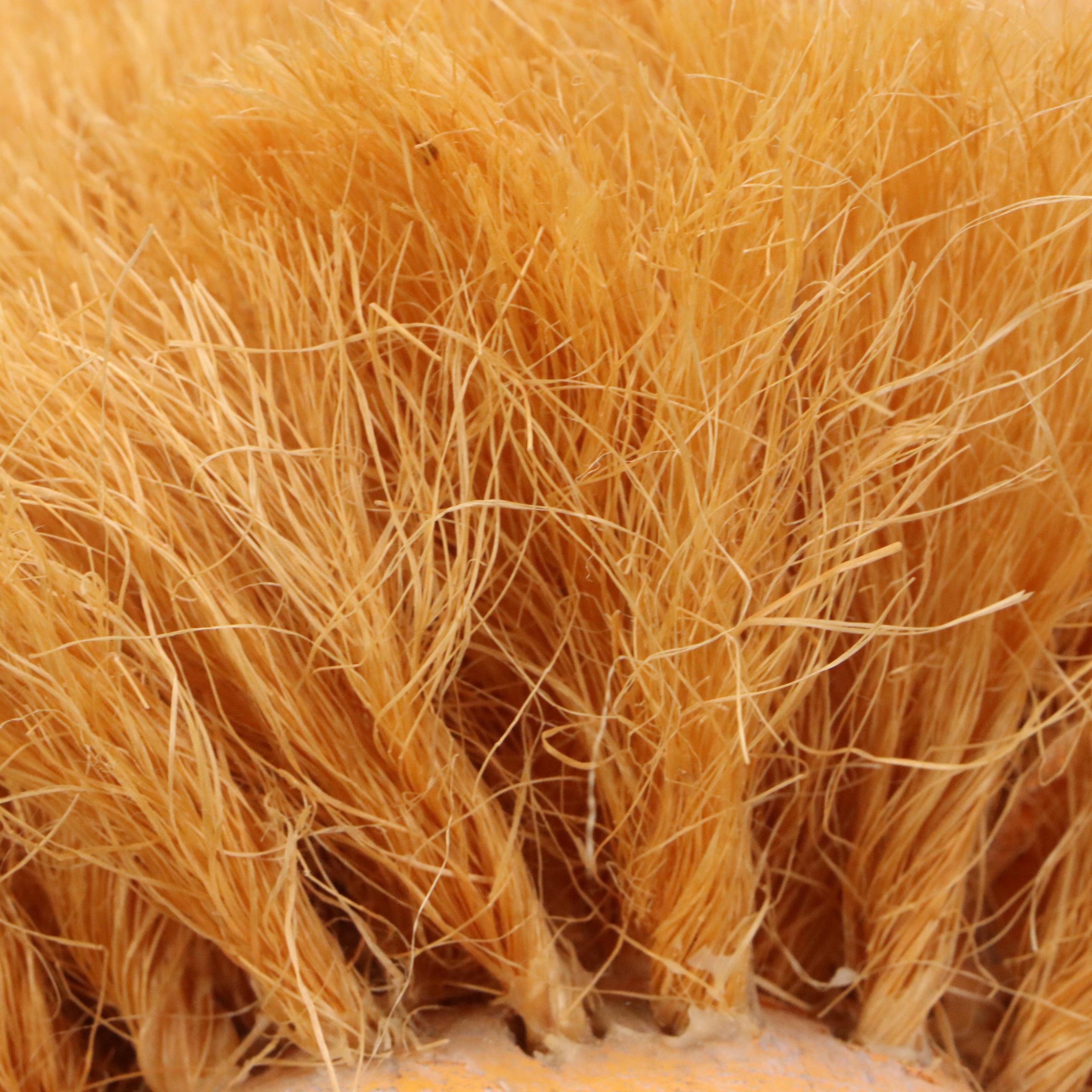 Hector Rascon Carved Wooden Lion with Bristle Mane, 1990