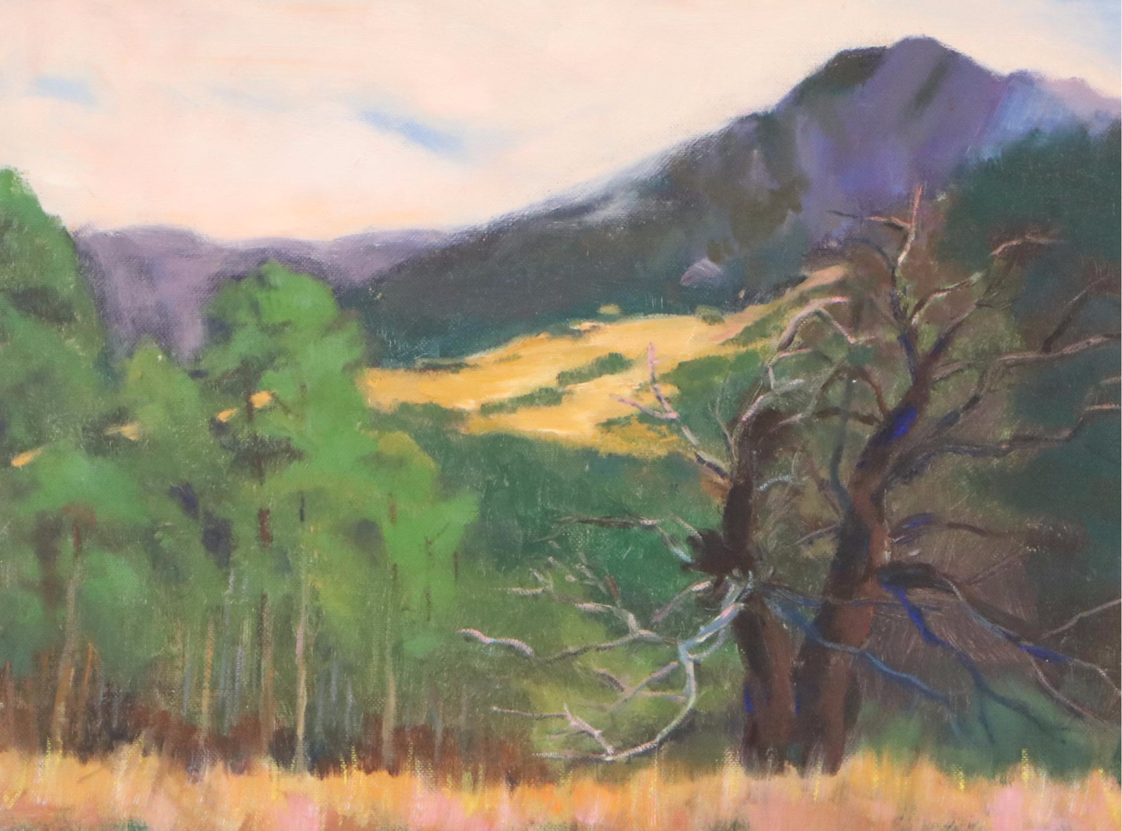 Oil Painting of Mountain Landscape with Dead Tree, Mid to Late 20th Century