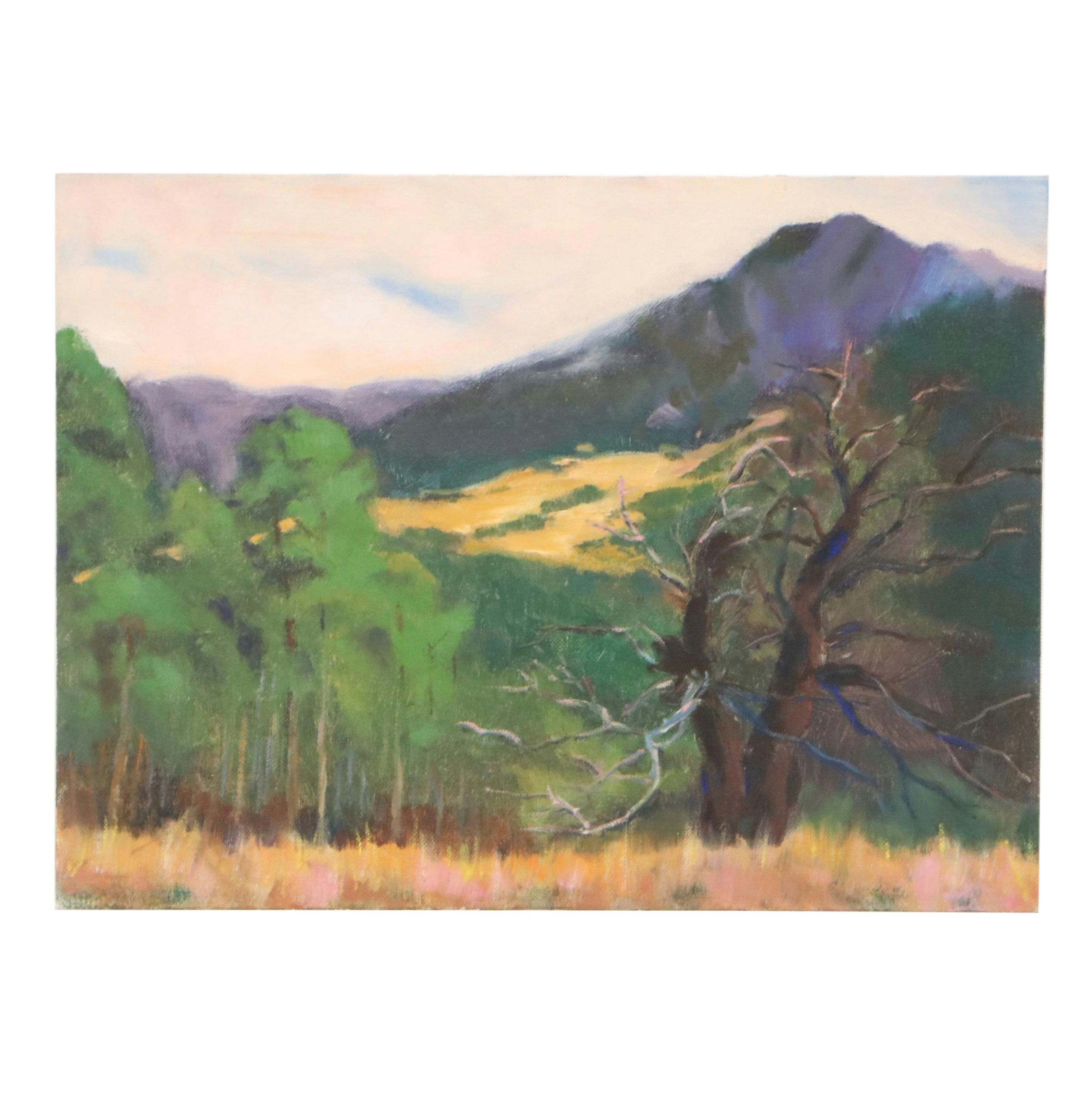 Oil Painting of Mountain Landscape with Dead Tree, Mid to Late 20th Century