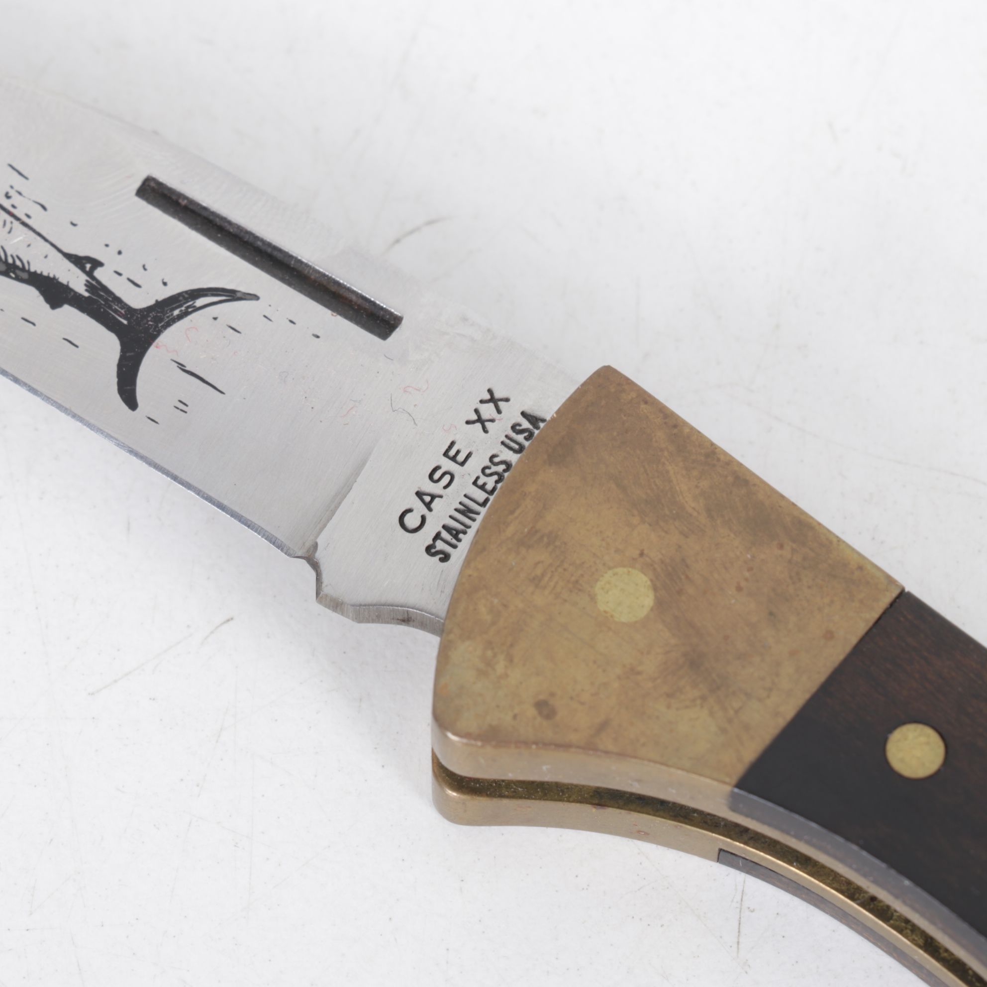 Case XX Shark Motif Lockback Folding Knives