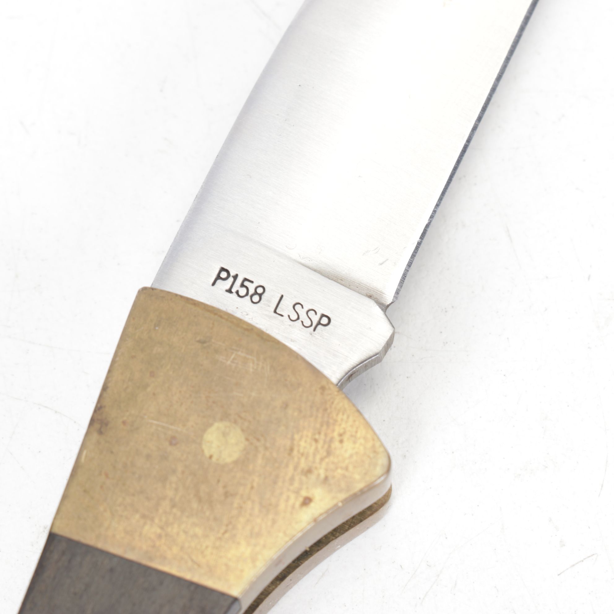 Case XX Shark Motif Lockback Folding Knives