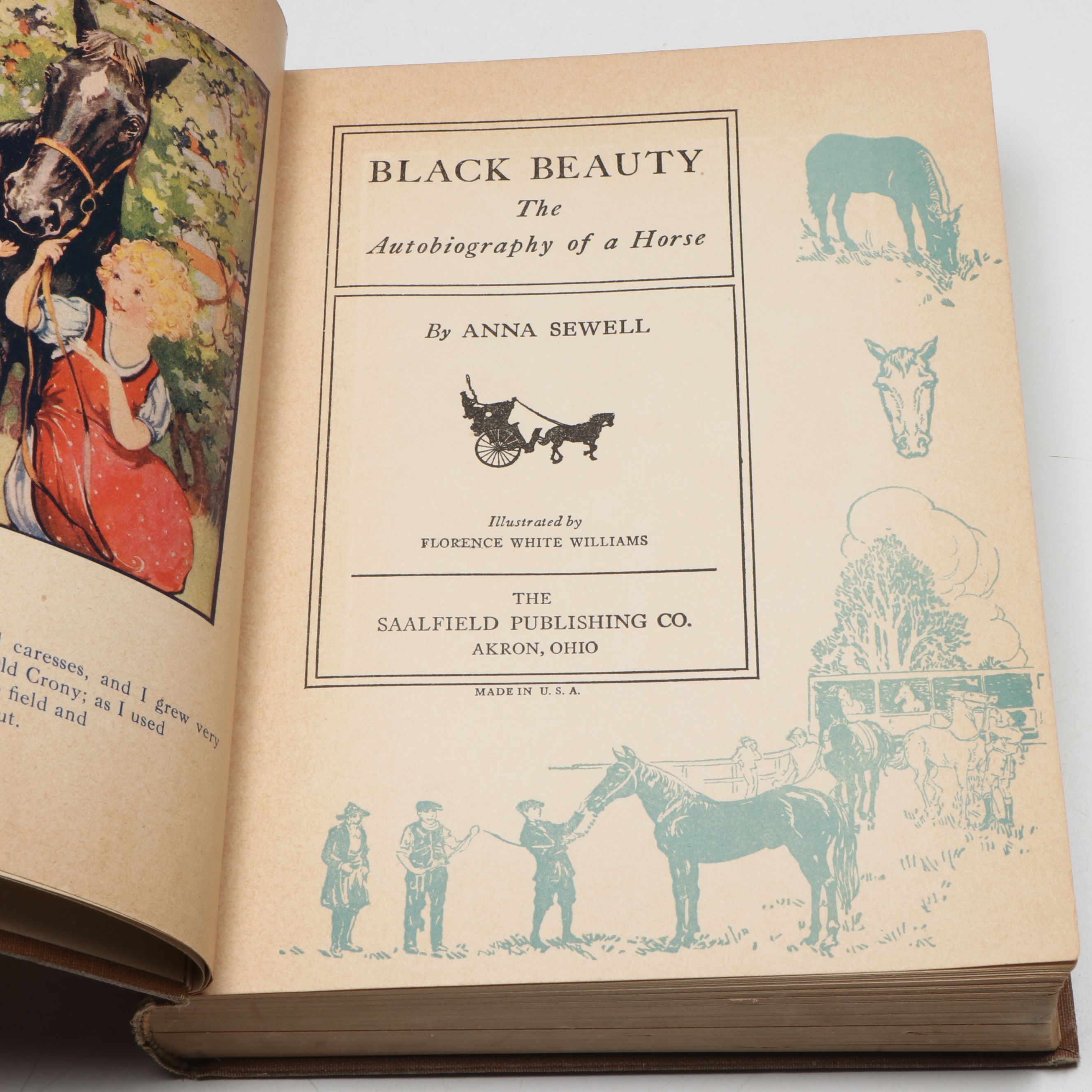"Black Beauty," "Uncle Wiggily's Story Book," and More Fiction Books