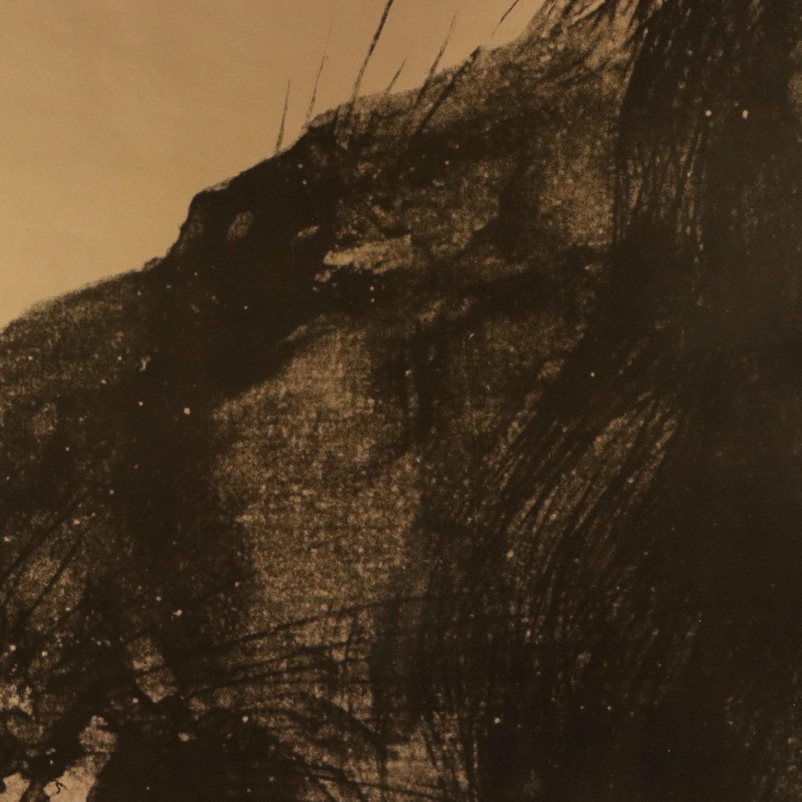 1980s Exhibition Posters for Morris Graves and More