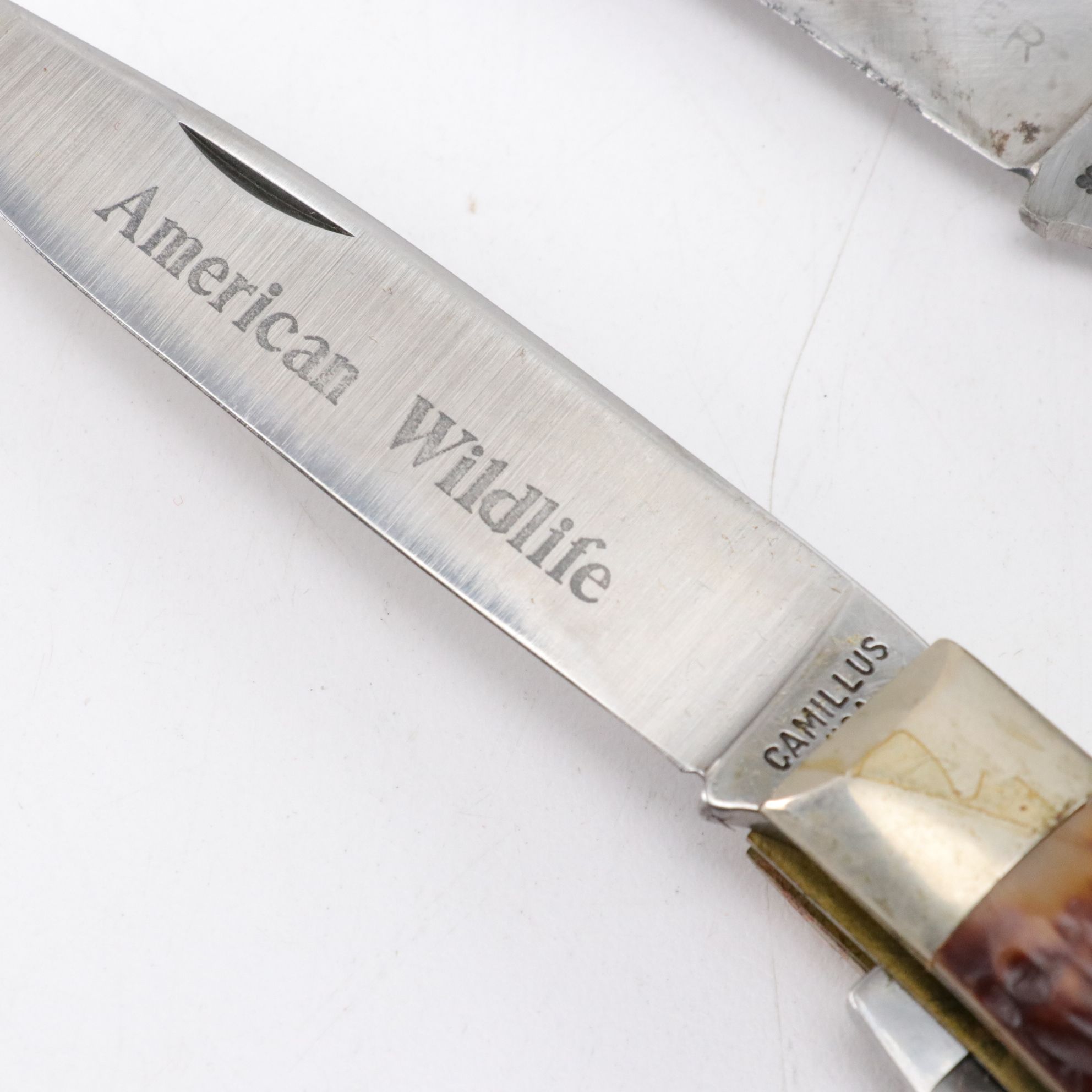 1976 Camillus American Wildlife Series Jumbo Knife with More Folding Knives