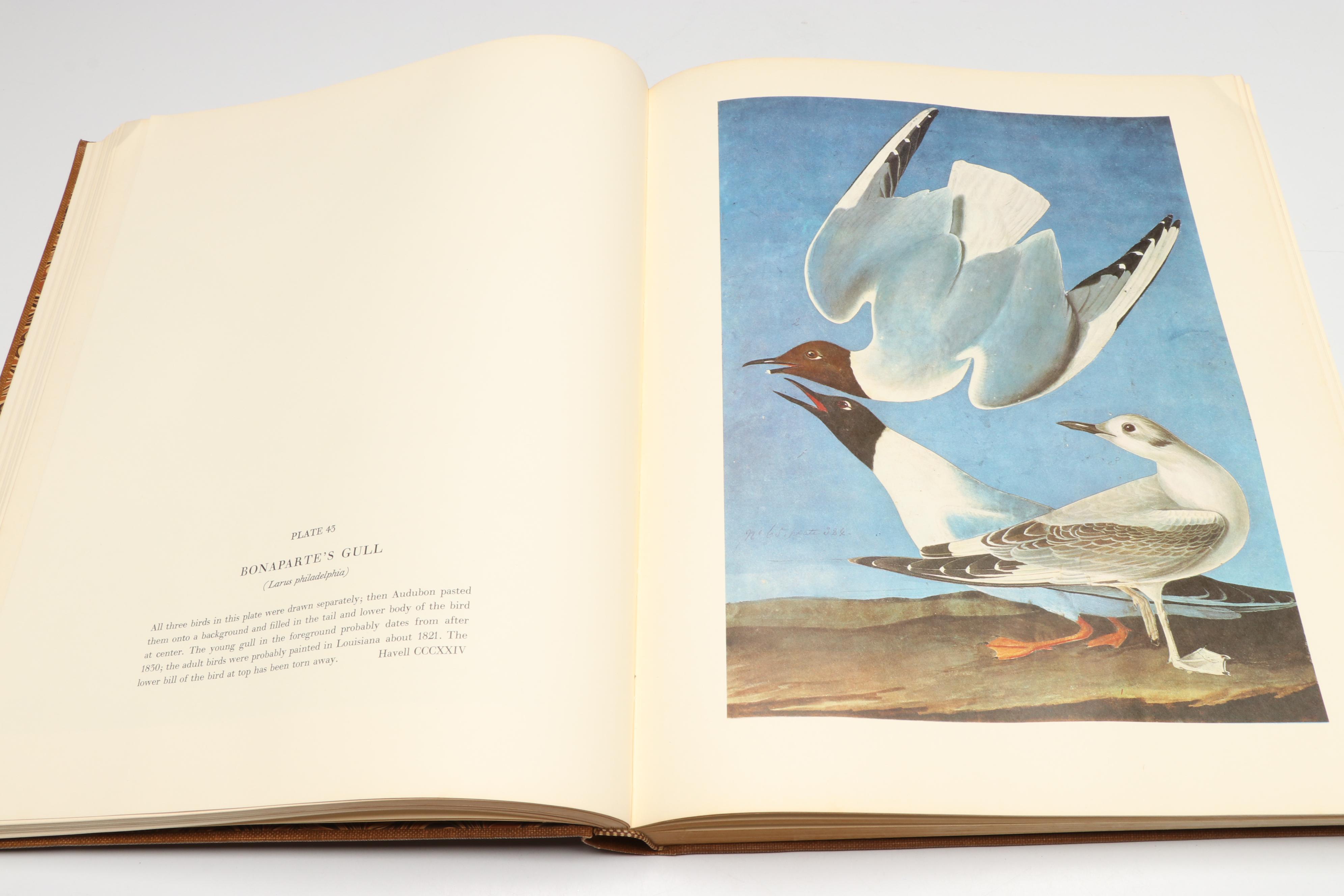 "The Original Water-Color Paintings by John James Audubon" Two-Volume Set, 1966