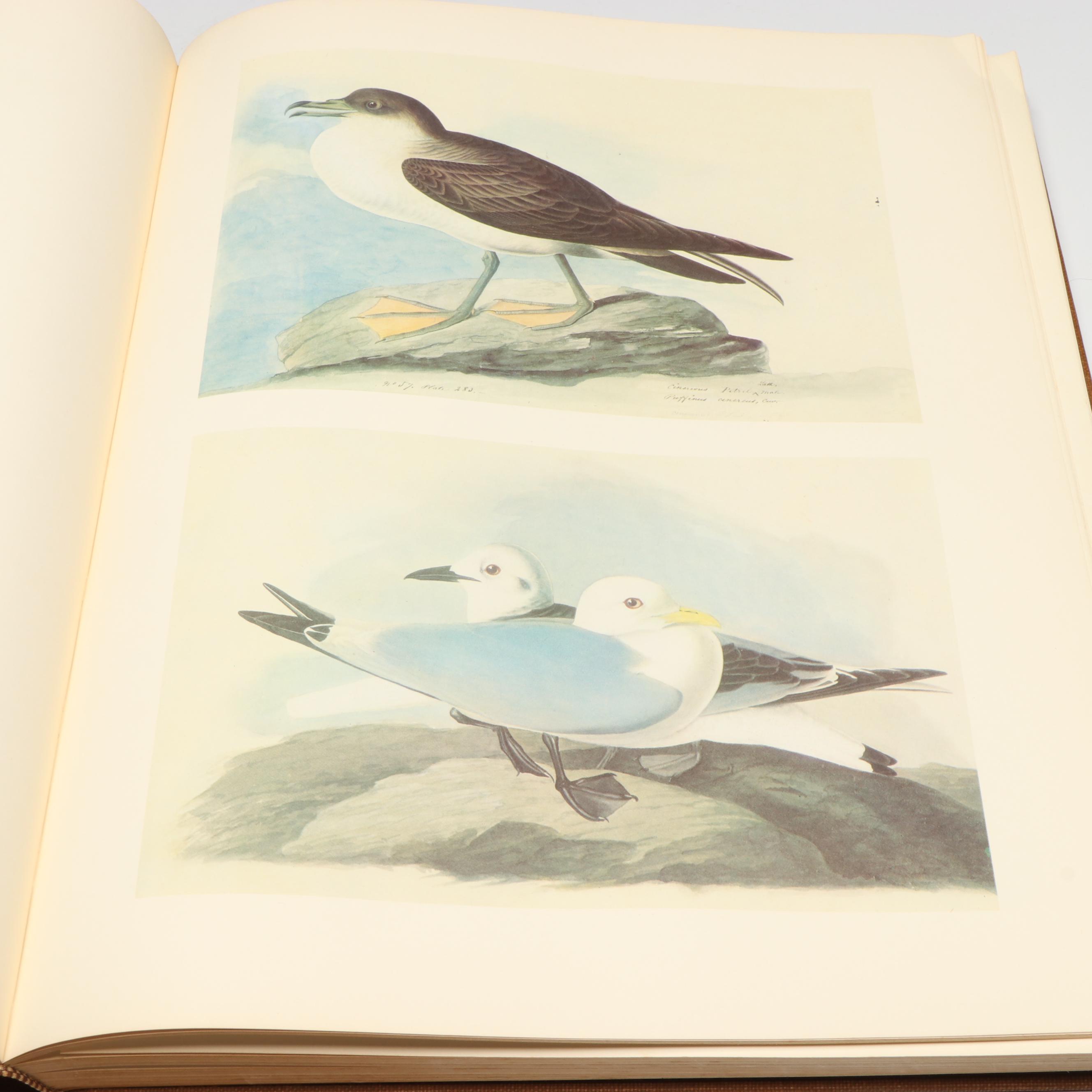 "The Original Water-Color Paintings by John James Audubon" Two-Volume Set, 1966
