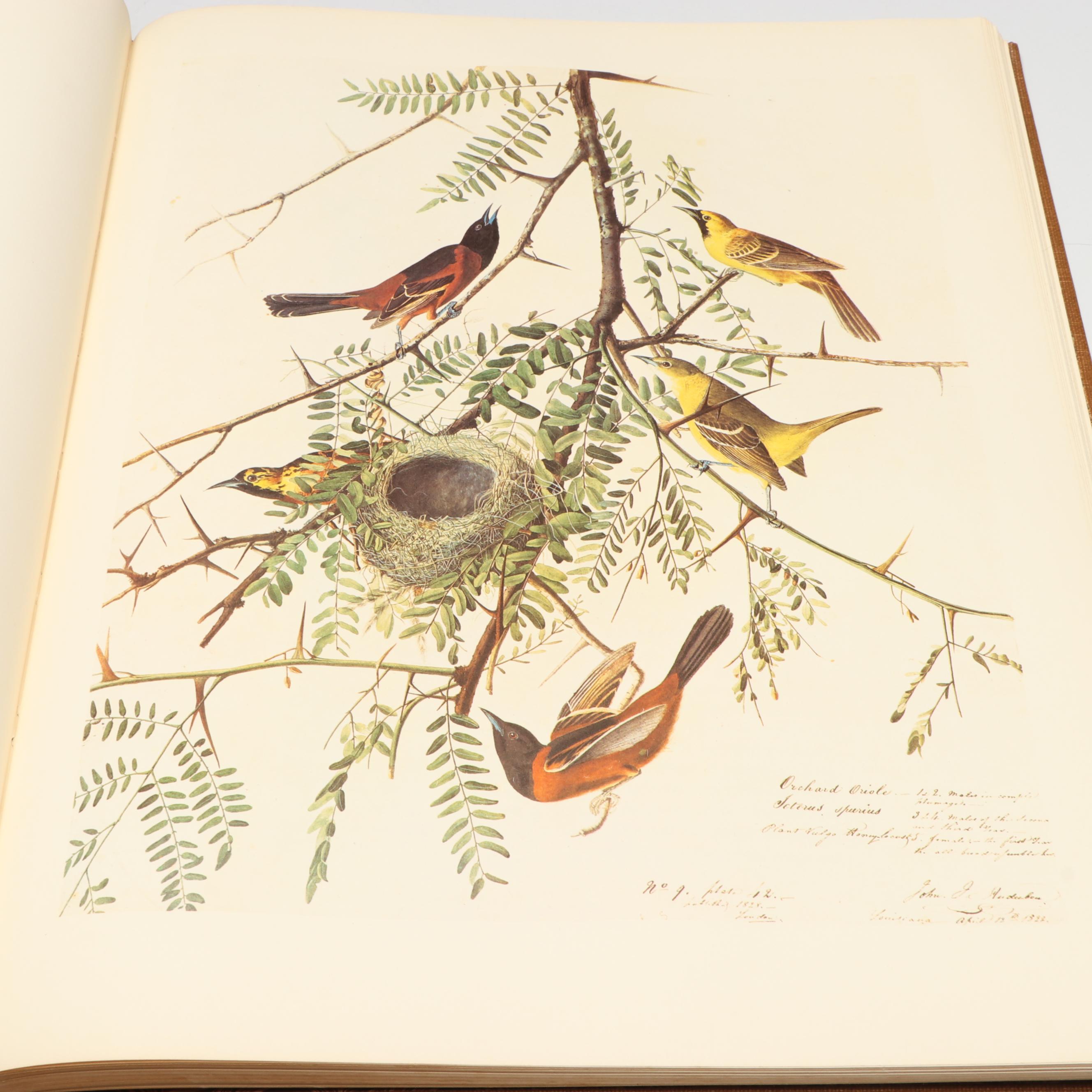 "The Original Water-Color Paintings by John James Audubon" Two-Volume Set, 1966