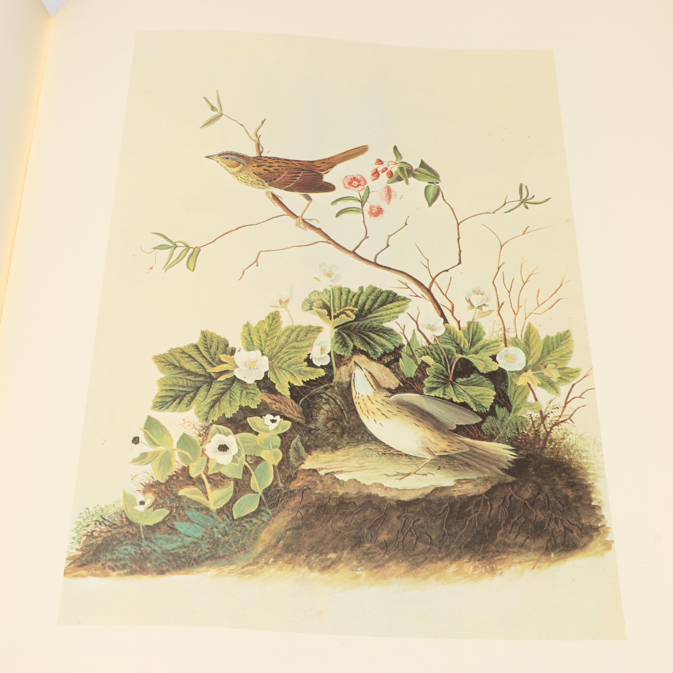 "The Original Water-Color Paintings by John James Audubon" Two-Volume Set, 1966