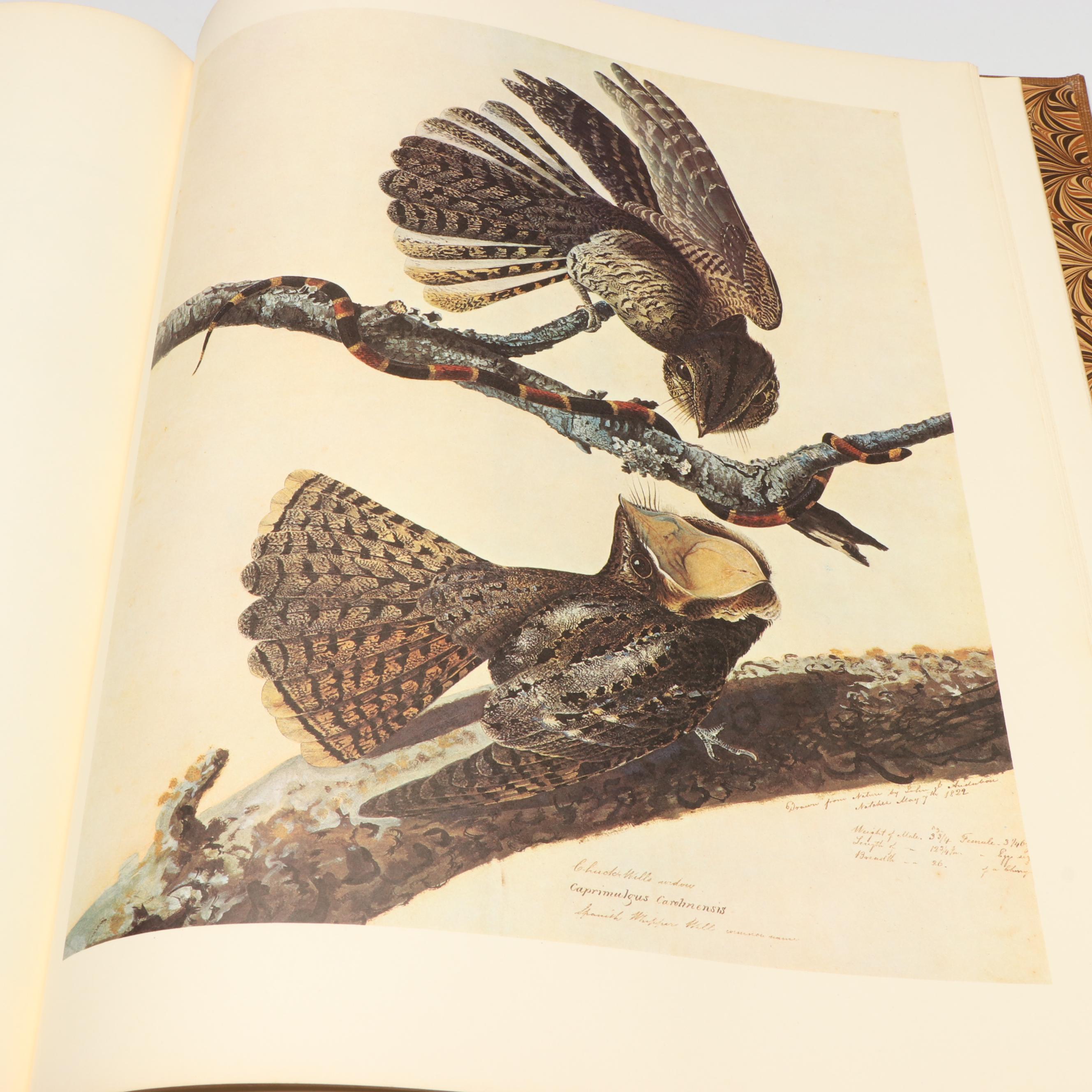 "The Original Water-Color Paintings by John James Audubon" Two-Volume Set, 1966