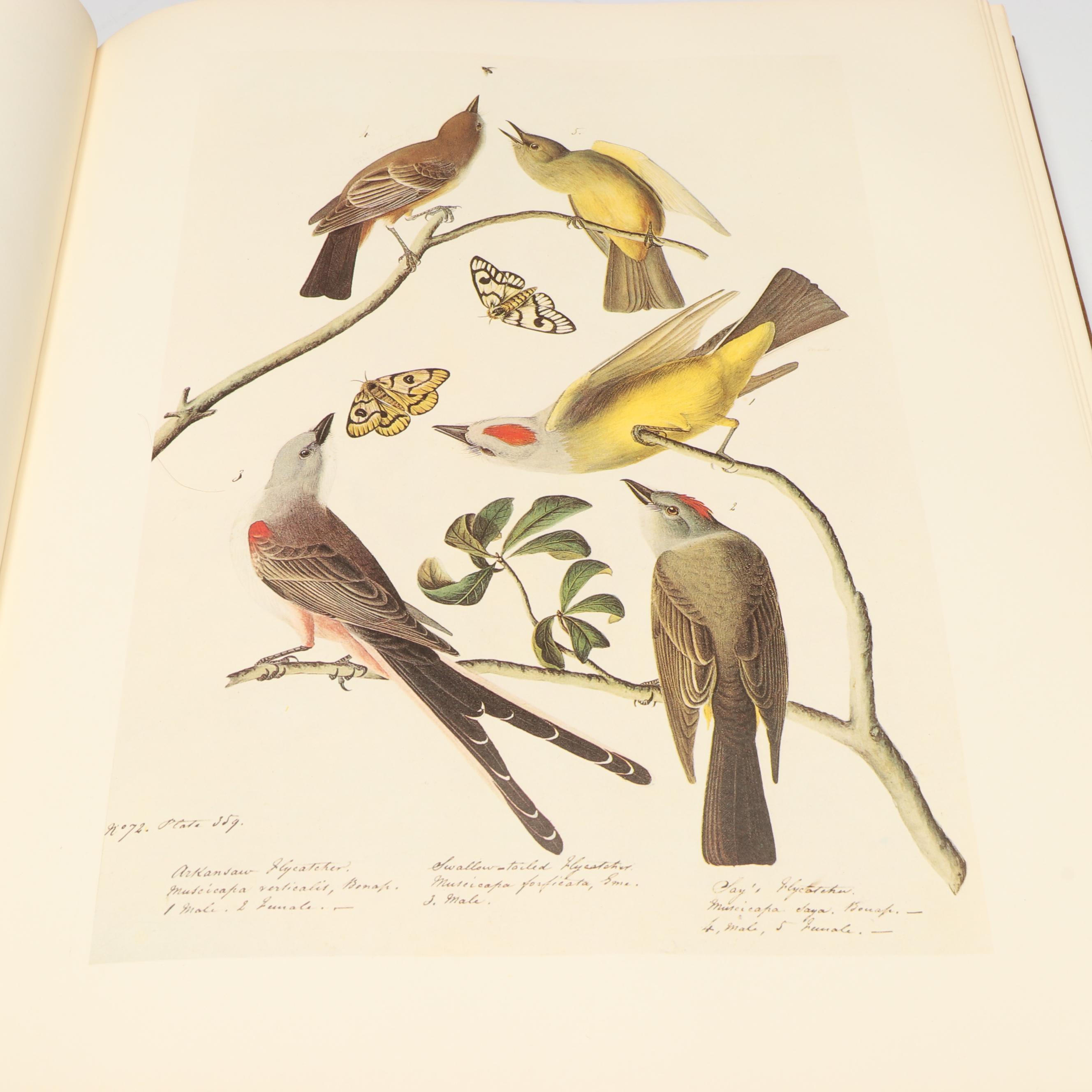 "The Original Water-Color Paintings by John James Audubon" Two-Volume Set, 1966