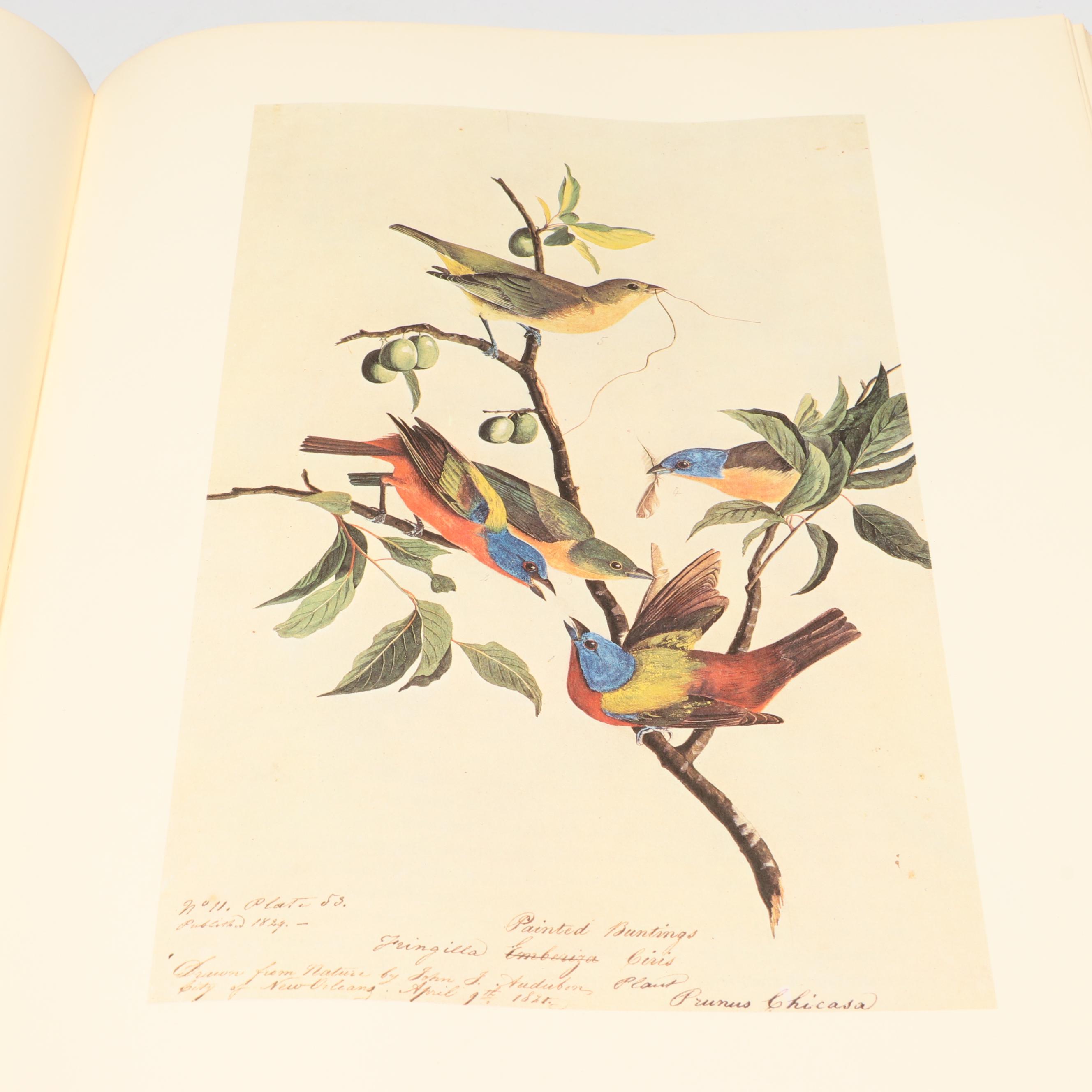 "The Original Water-Color Paintings by John James Audubon" Two-Volume Set, 1966
