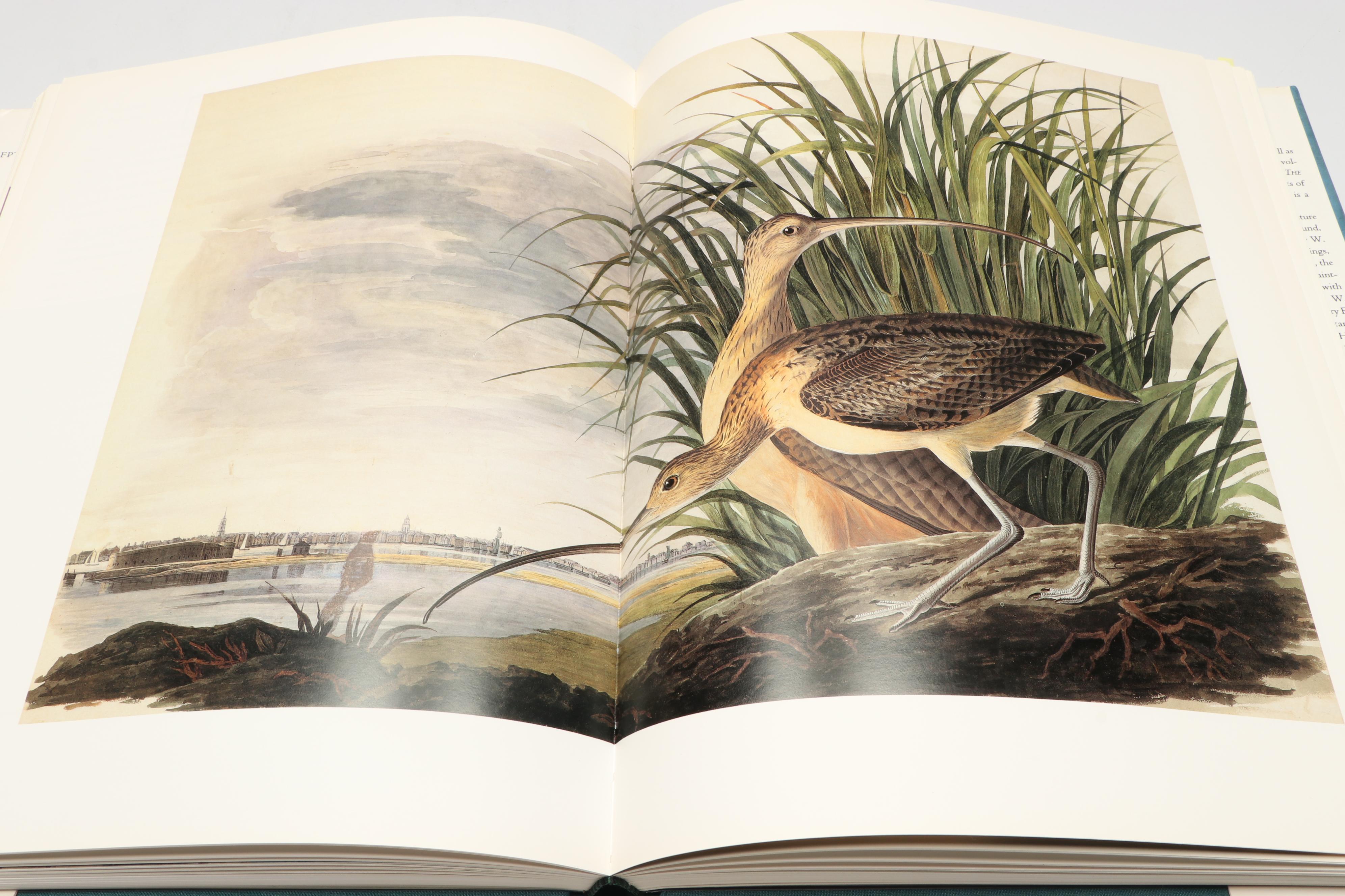First Printing "John James Audubon: Watercolors for The Birds of America," 1993