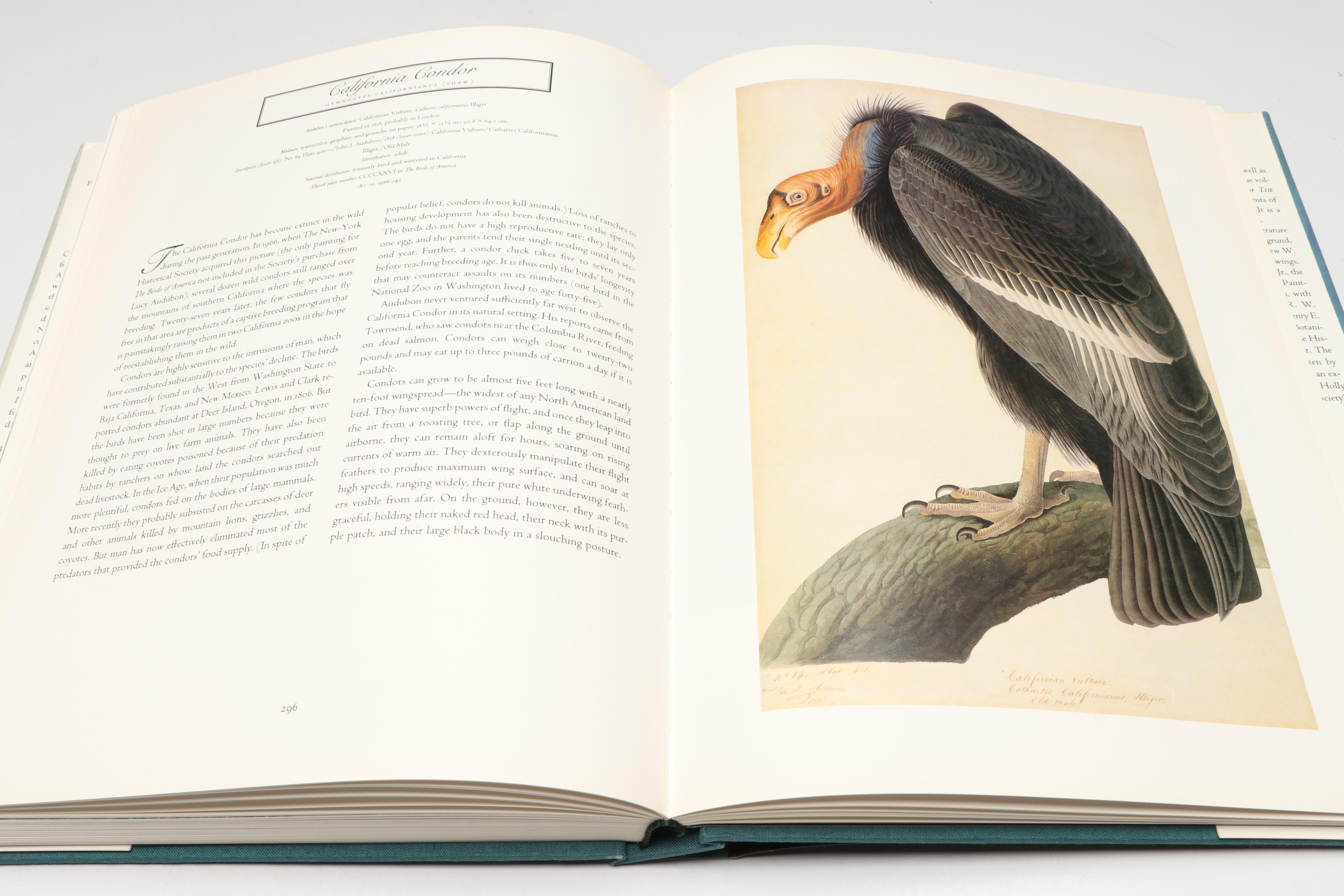 First Printing "John James Audubon: Watercolors for The Birds of America," 1993