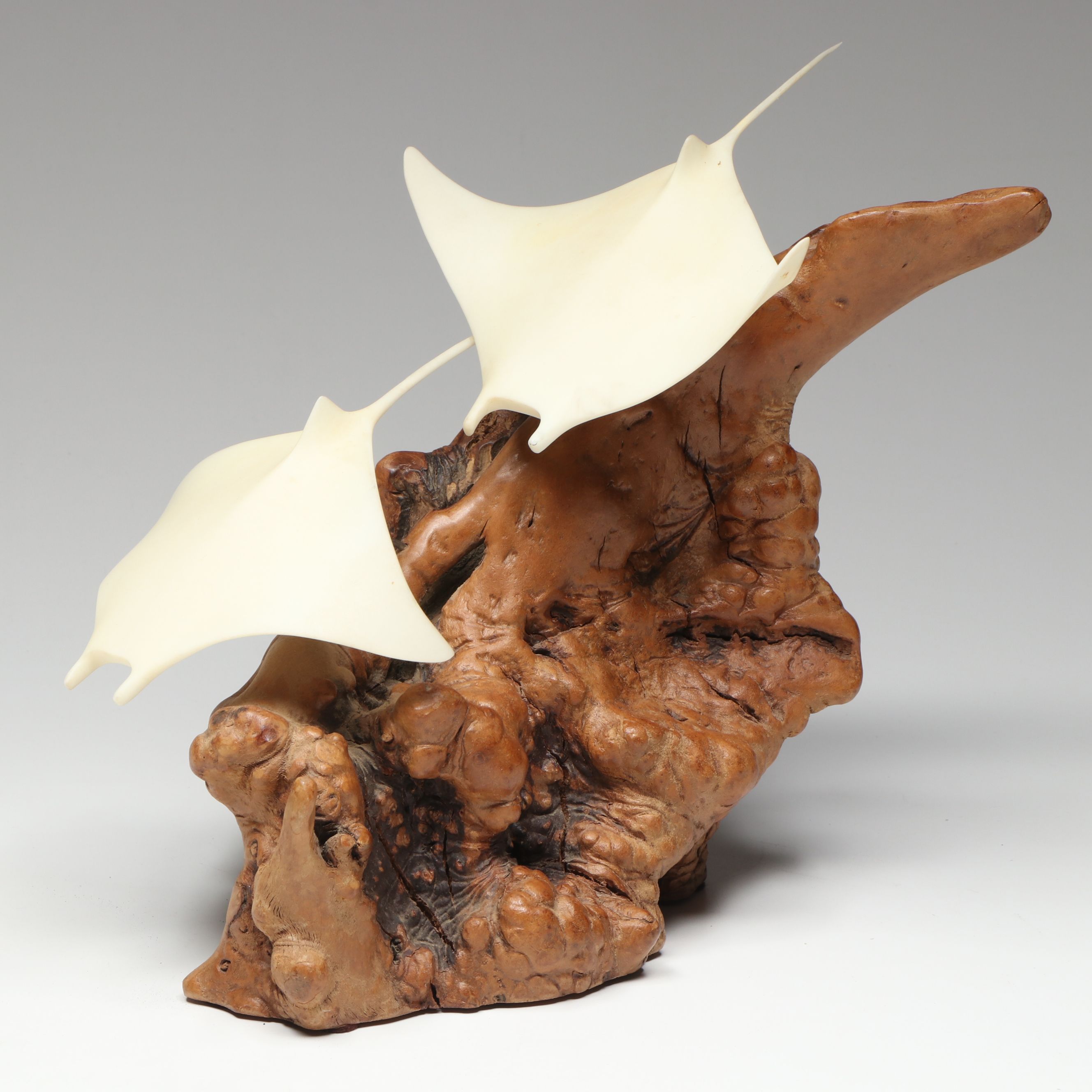 John Perry Studio Manta Ray on Burlwood Sculpture and Other Dolphin Figure