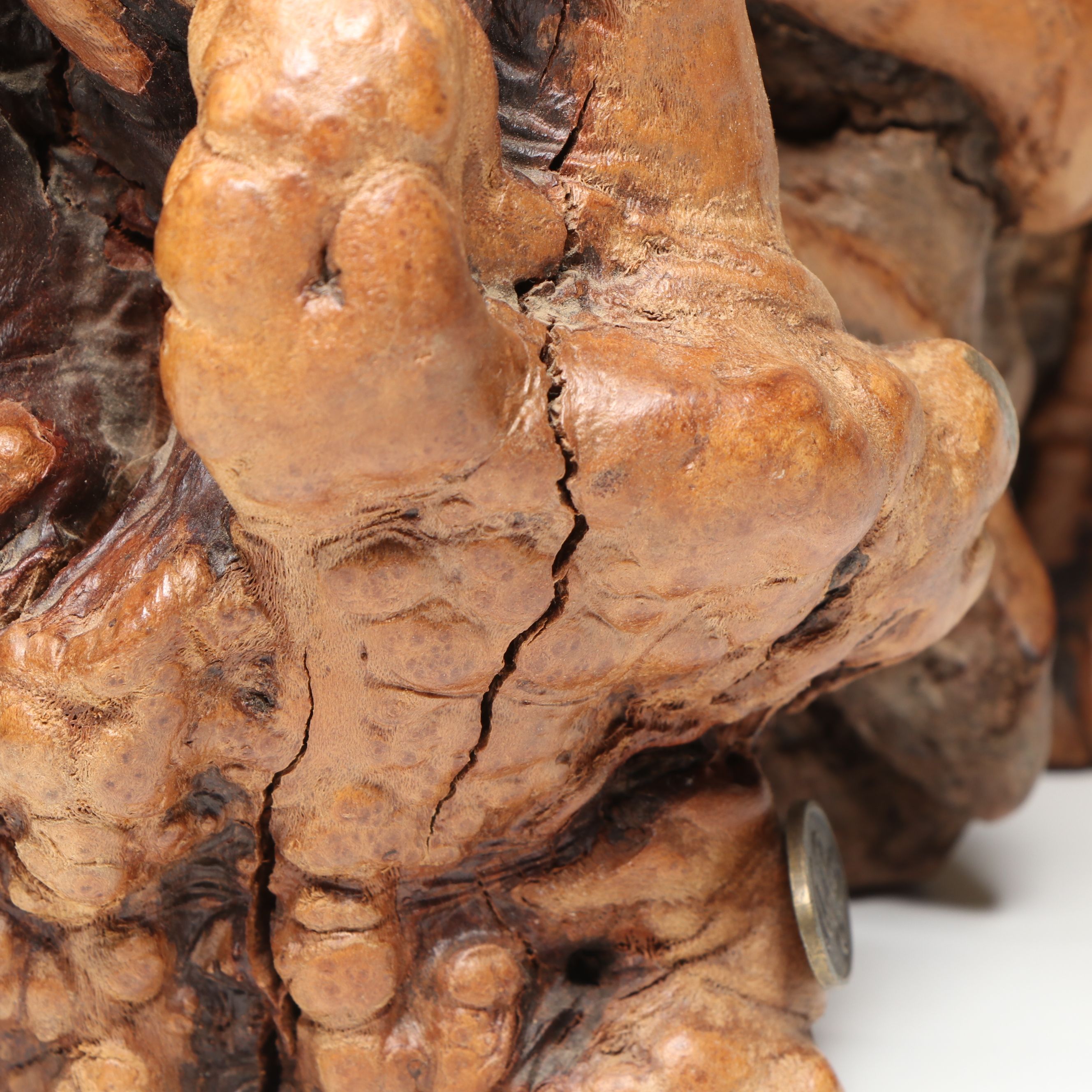 John Perry Studio Manta Ray on Burlwood Sculpture and Other Dolphin Figure