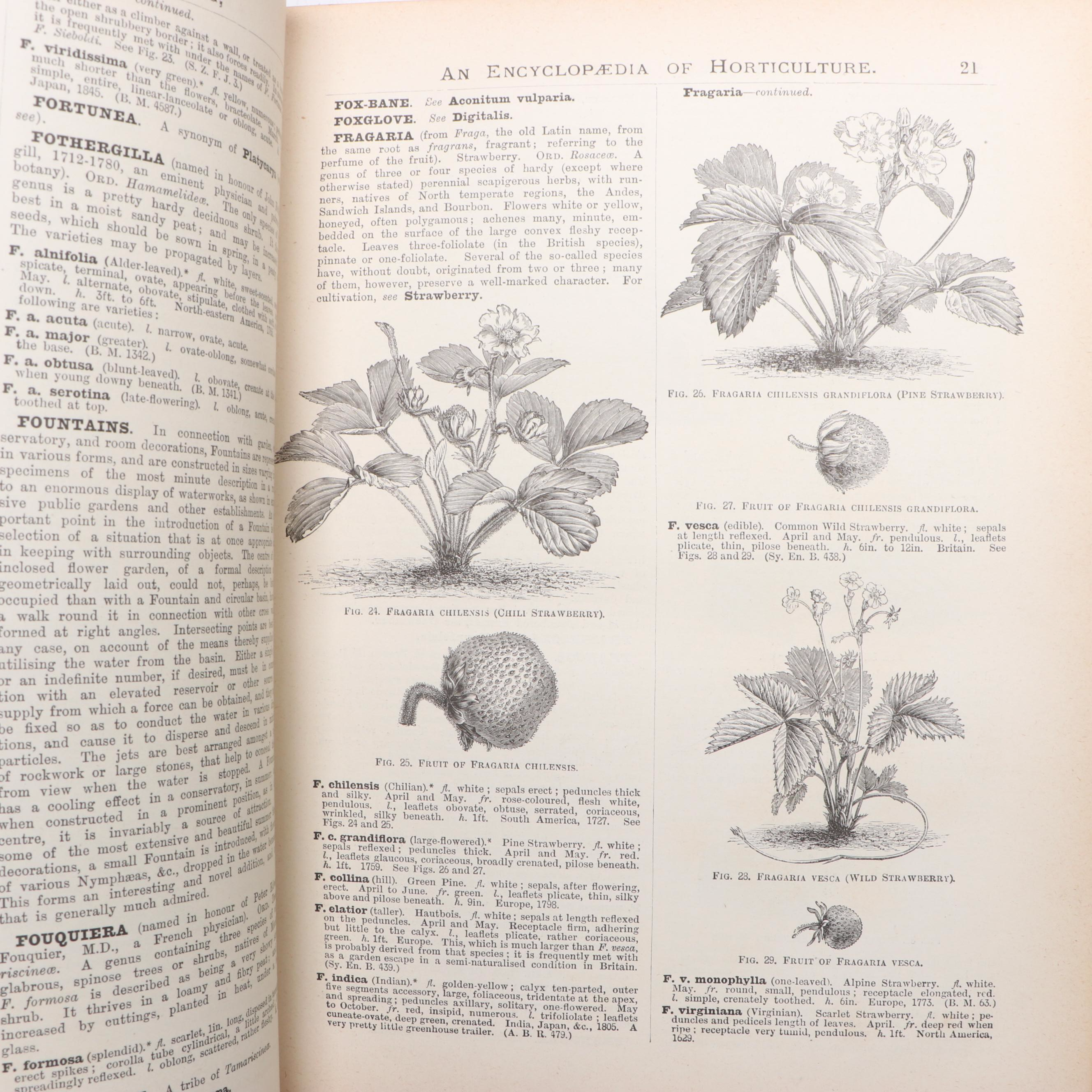 "The Illustrated Dictionary of Gardening" Edited by George Nicholson