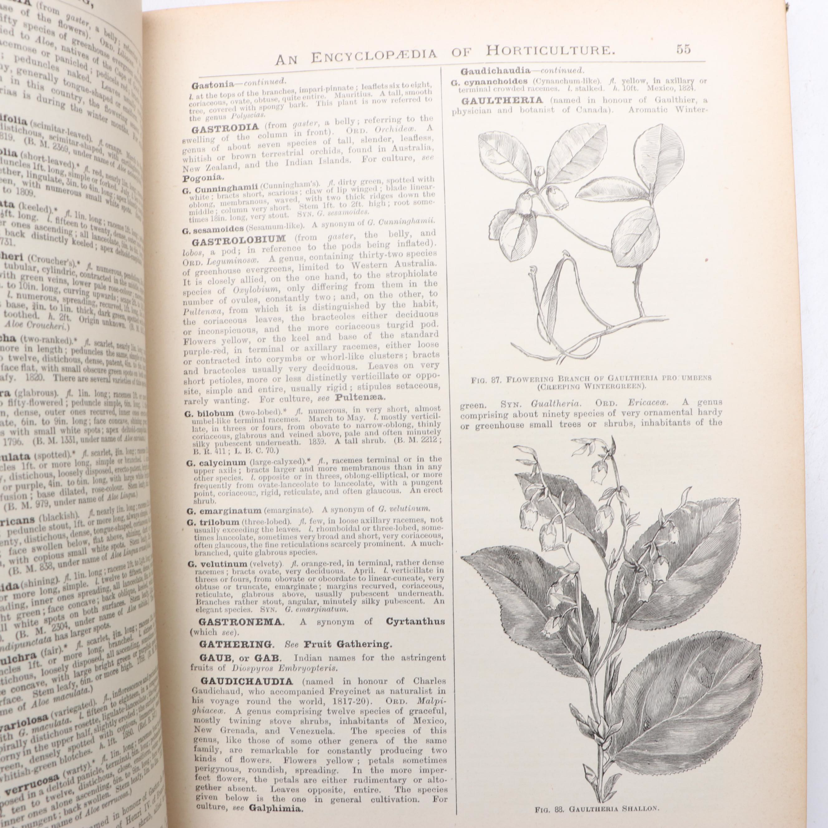 "The Illustrated Dictionary of Gardening" Edited by George Nicholson