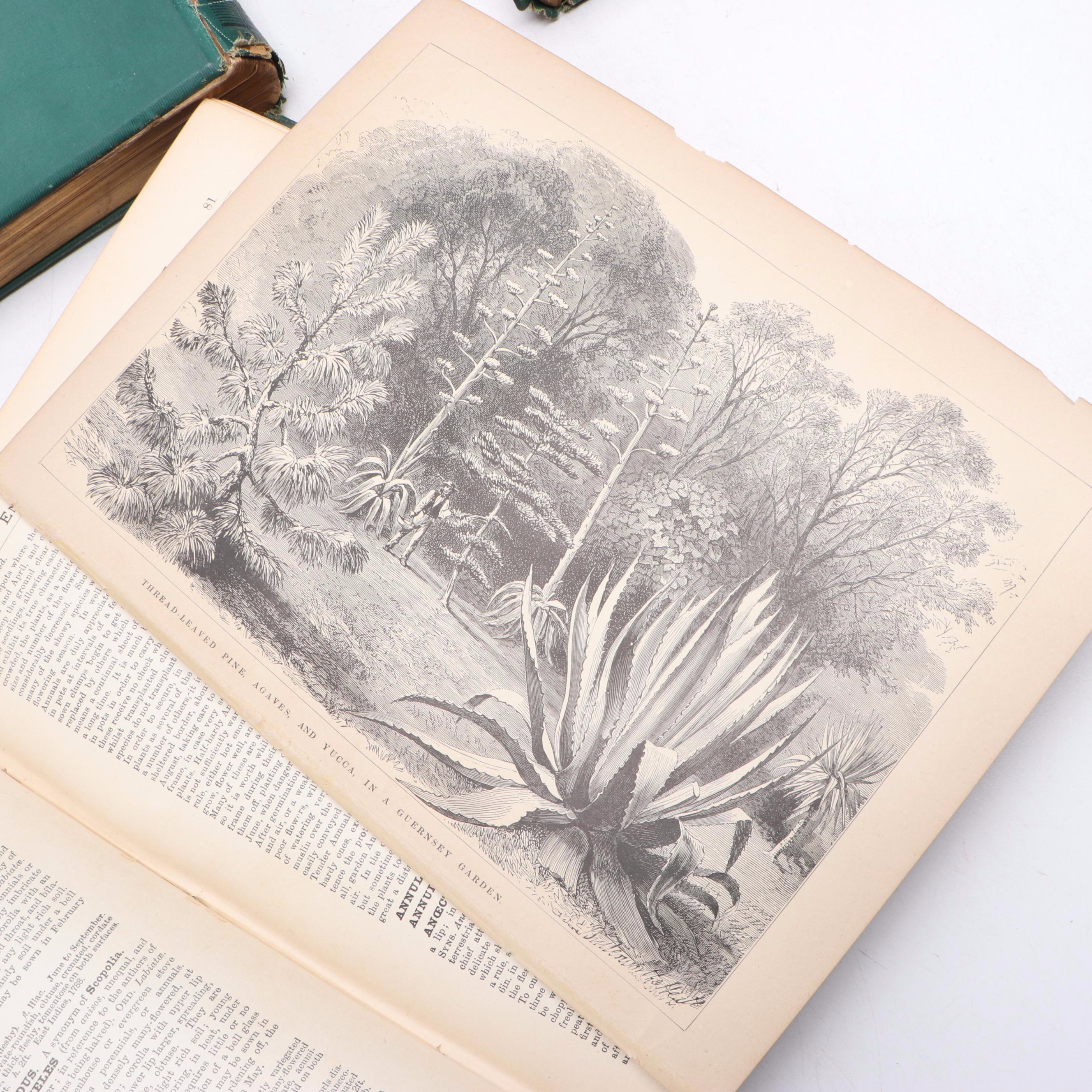 "The Illustrated Dictionary of Gardening" Edited by George Nicholson