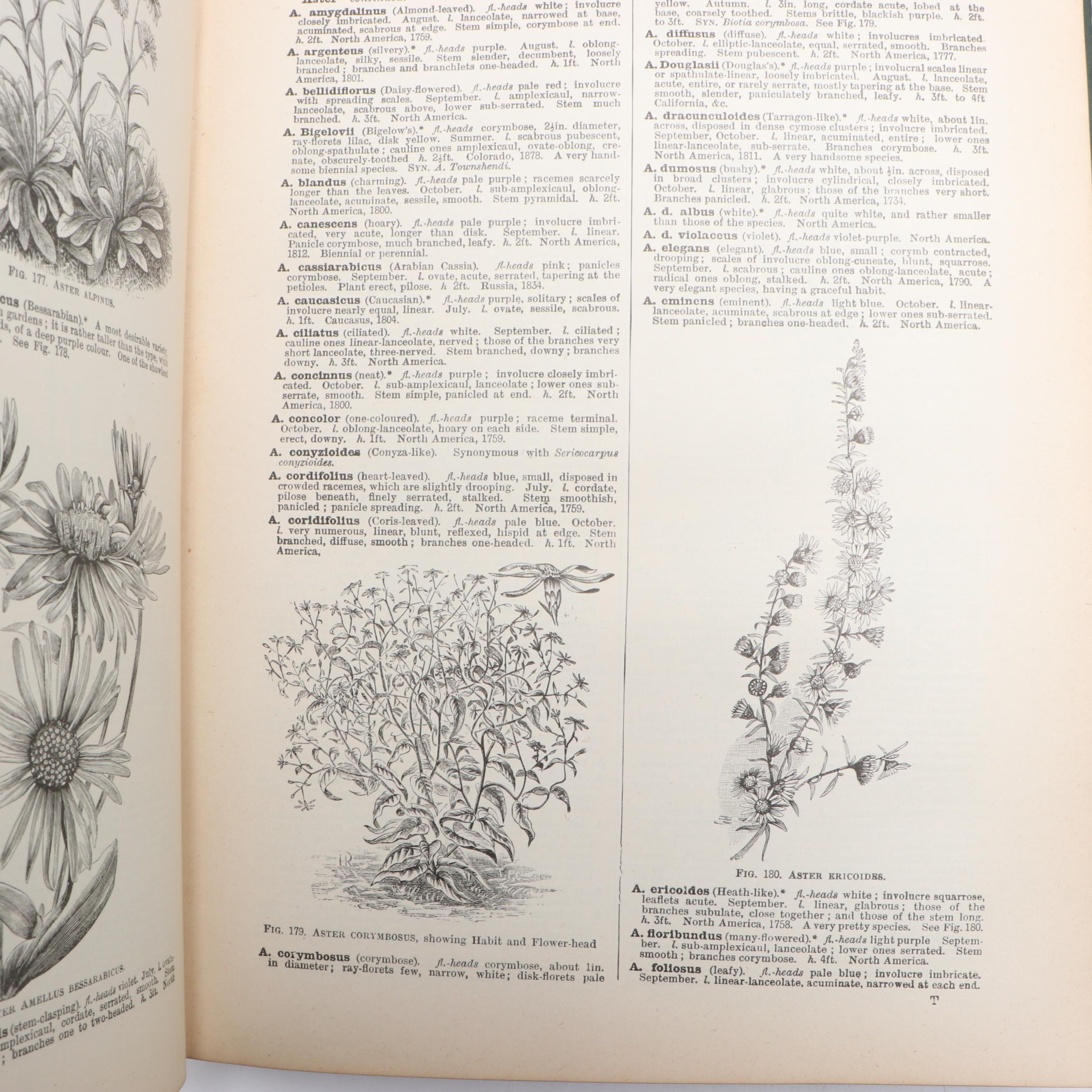 "The Illustrated Dictionary of Gardening" Edited by George Nicholson
