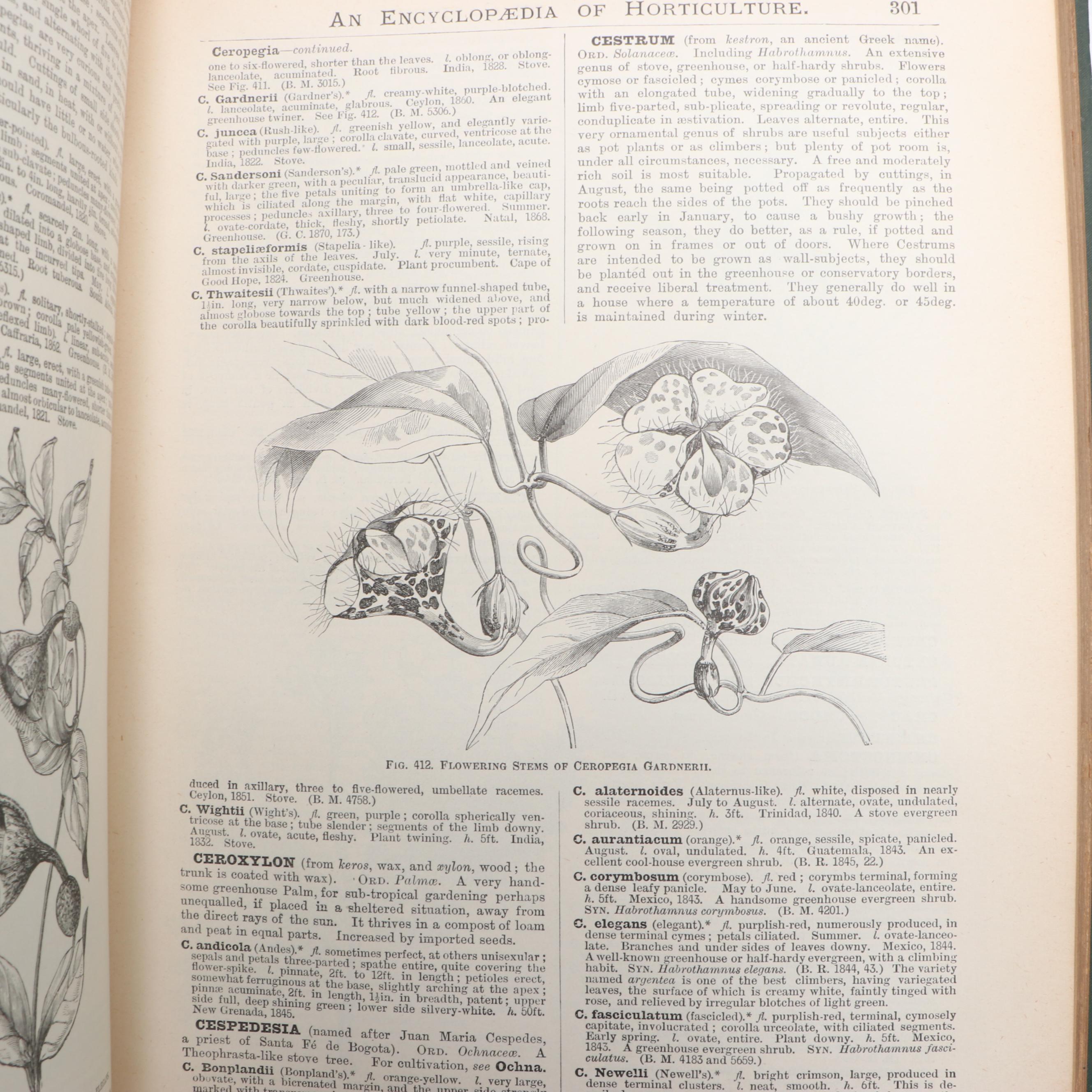 "The Illustrated Dictionary of Gardening" Edited by George Nicholson