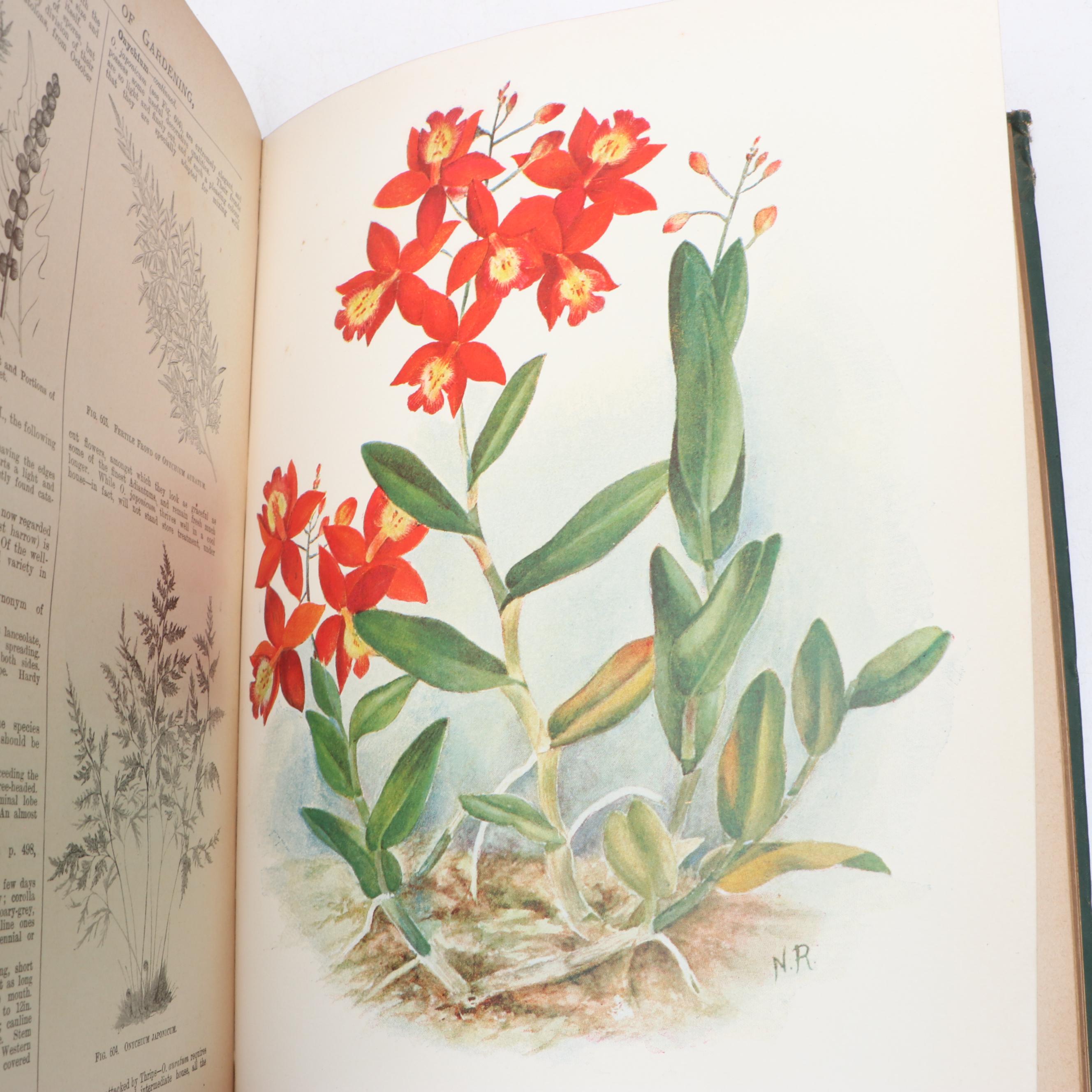 "The Illustrated Dictionary of Gardening" Edited by George Nicholson
