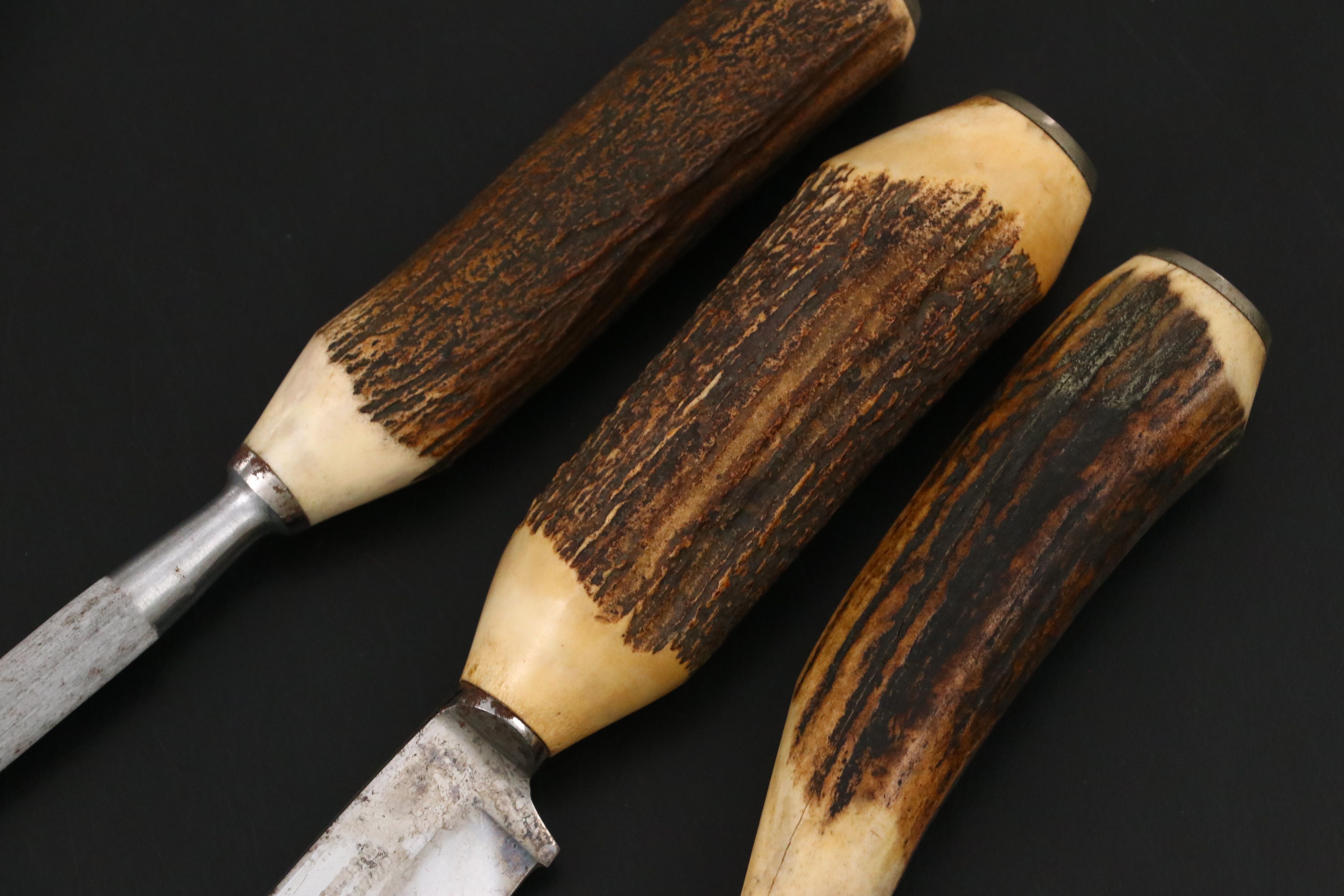 Case Antler Handled Carving Set in Wooden Storage Box