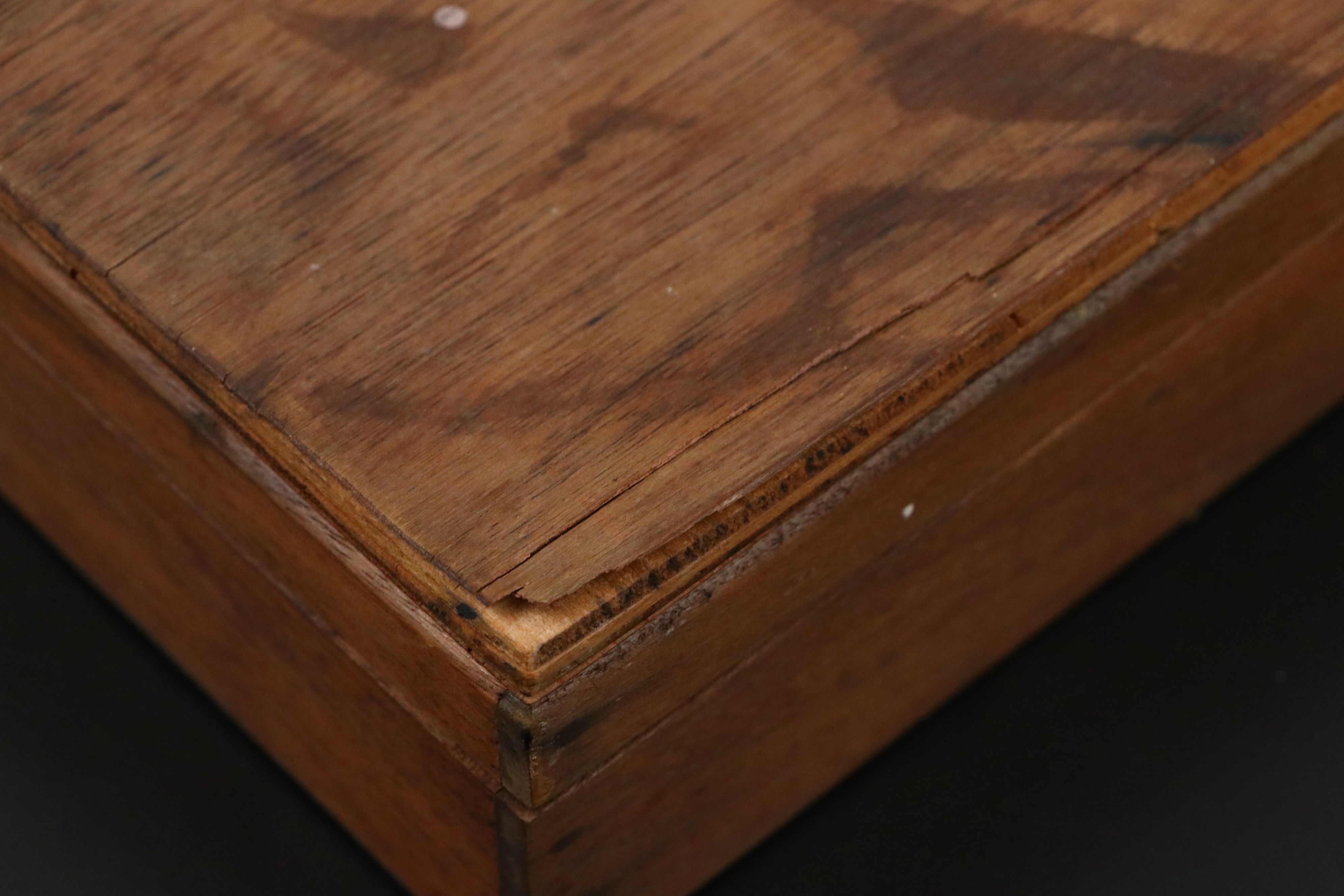 Case Antler Handled Carving Set in Wooden Storage Box