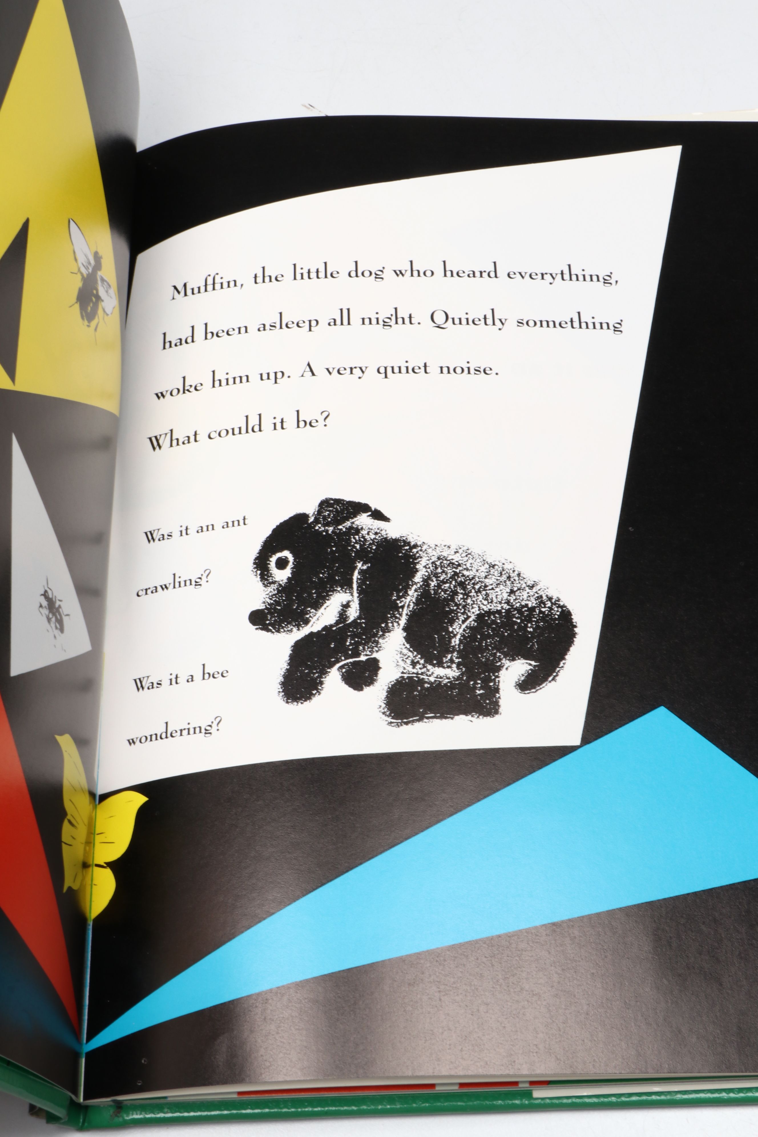 "The Noisy Book," "Our 50 States," and More History and Children's Books