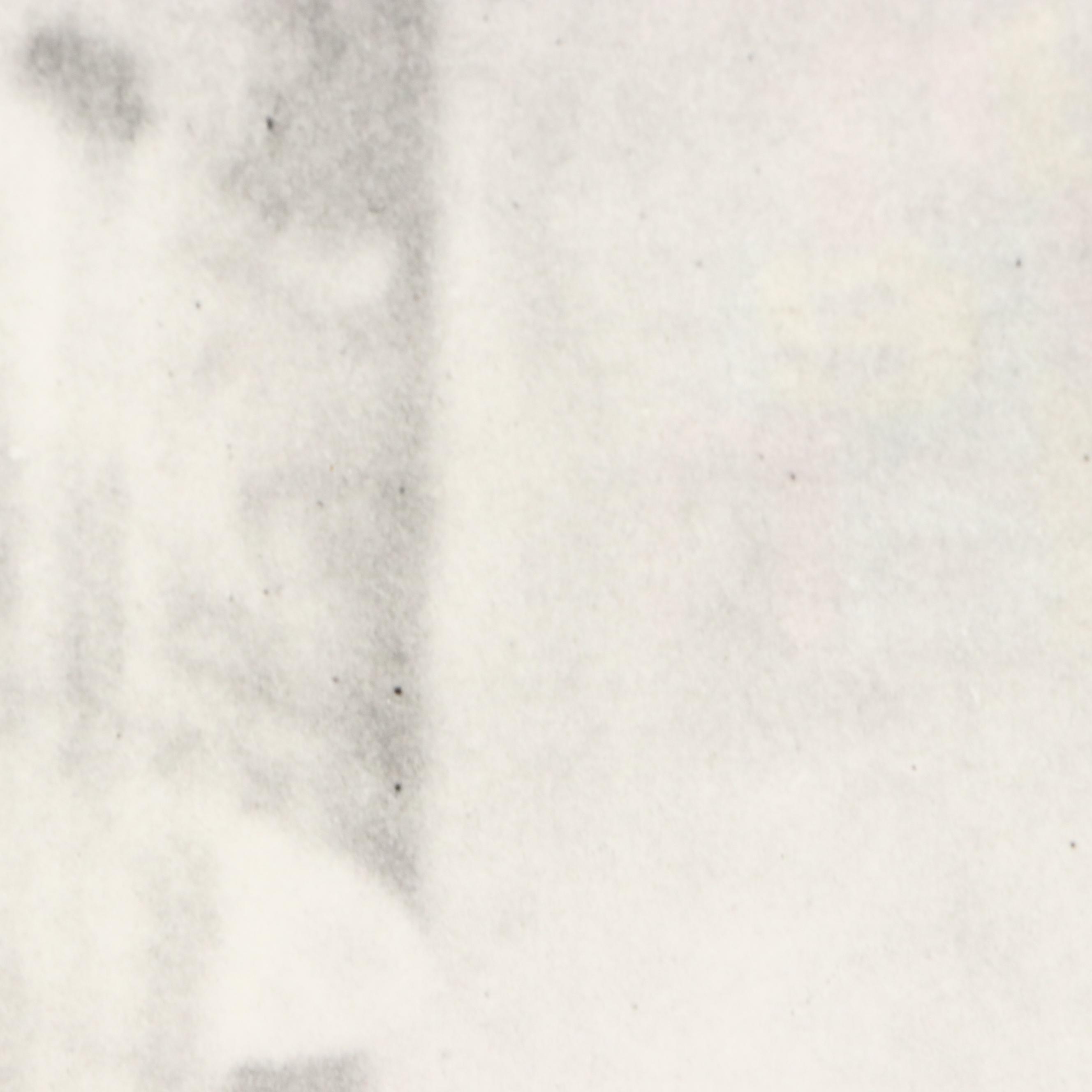 Silver Gelatin Portrait Photograph of Hunkpapa Lakota Leader Gall