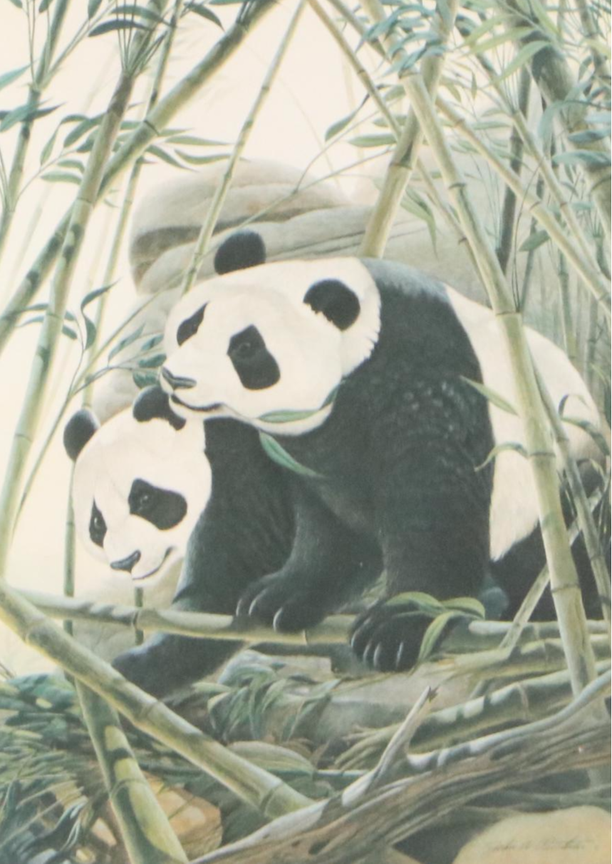John A. Ruthven Offset Lithograph "Panda Bears," Late 20th Century