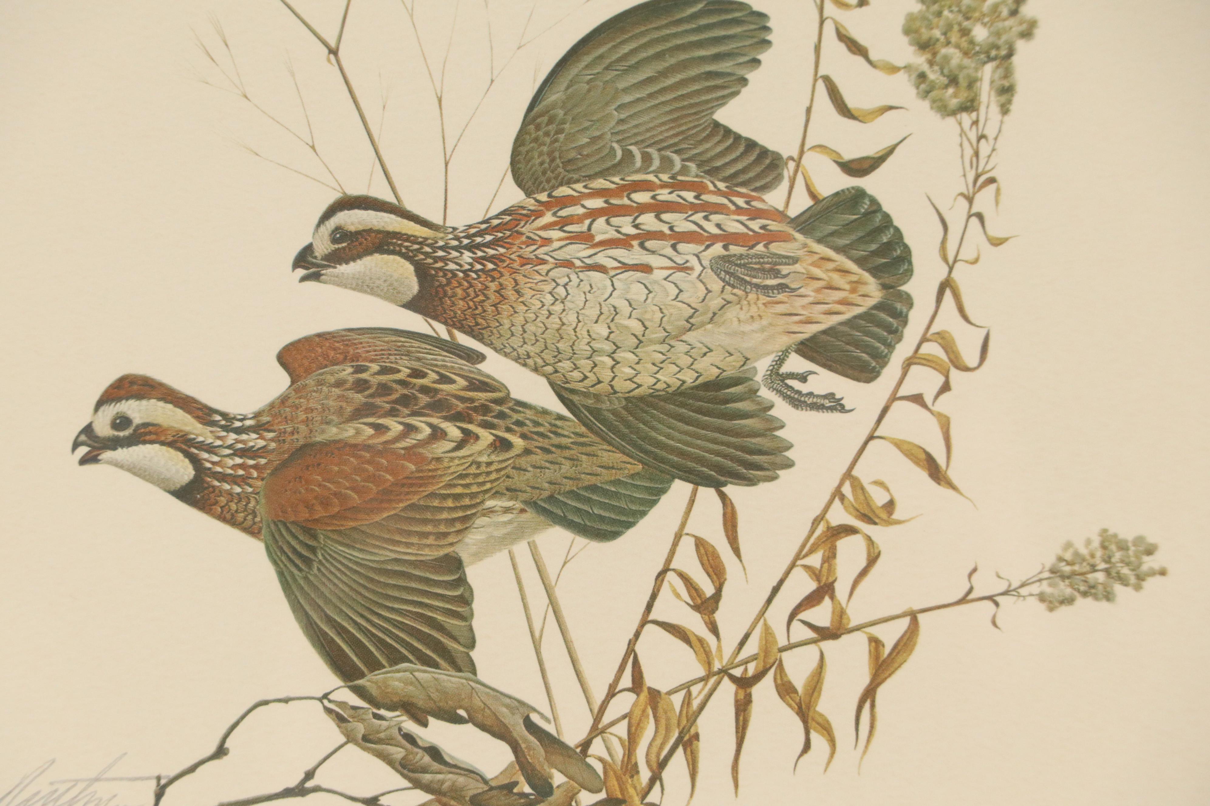 John A. Ruthven Offset Lithograph "Quail," Mid to Late 20th Century