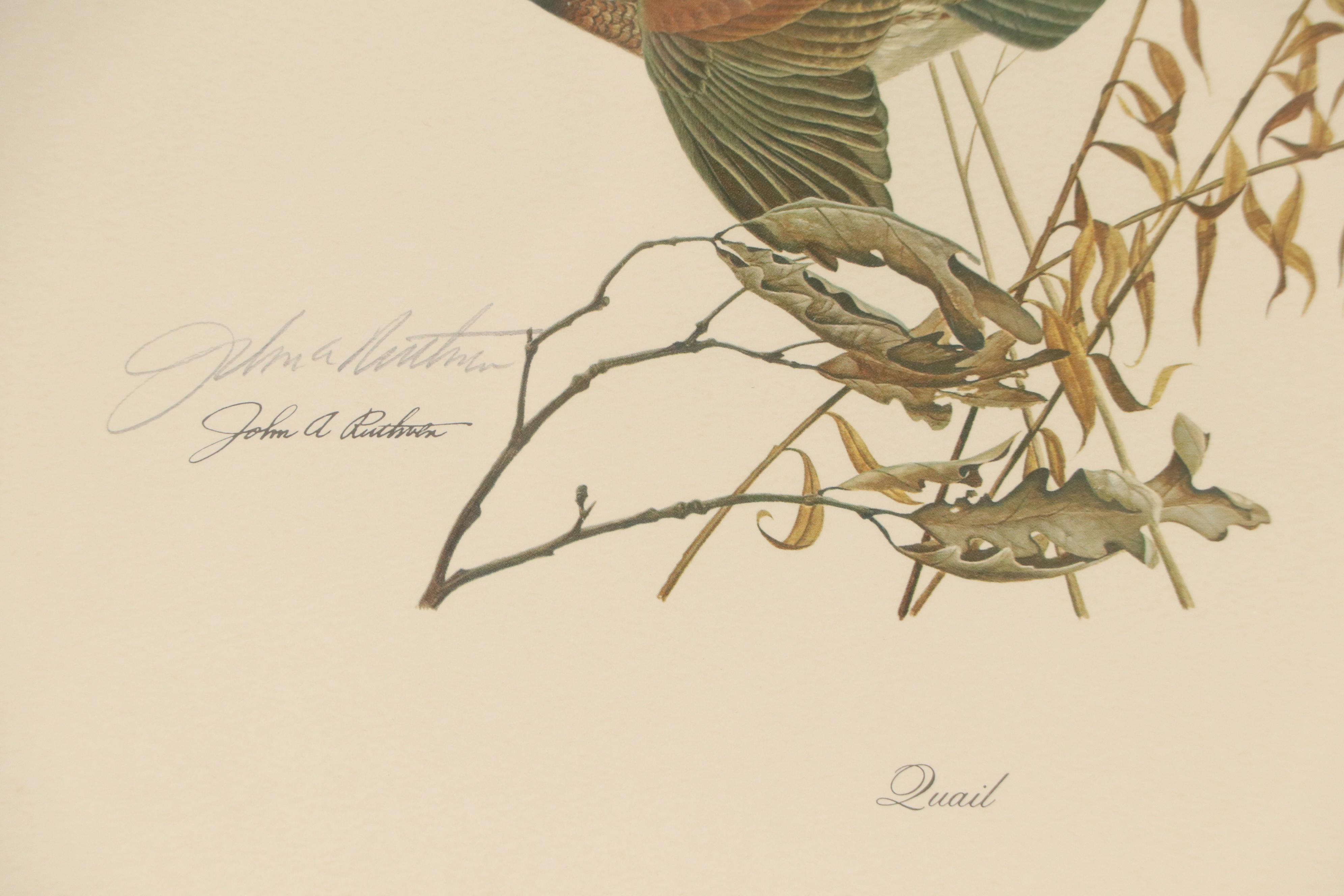 John A. Ruthven Offset Lithograph "Quail," Mid to Late 20th Century