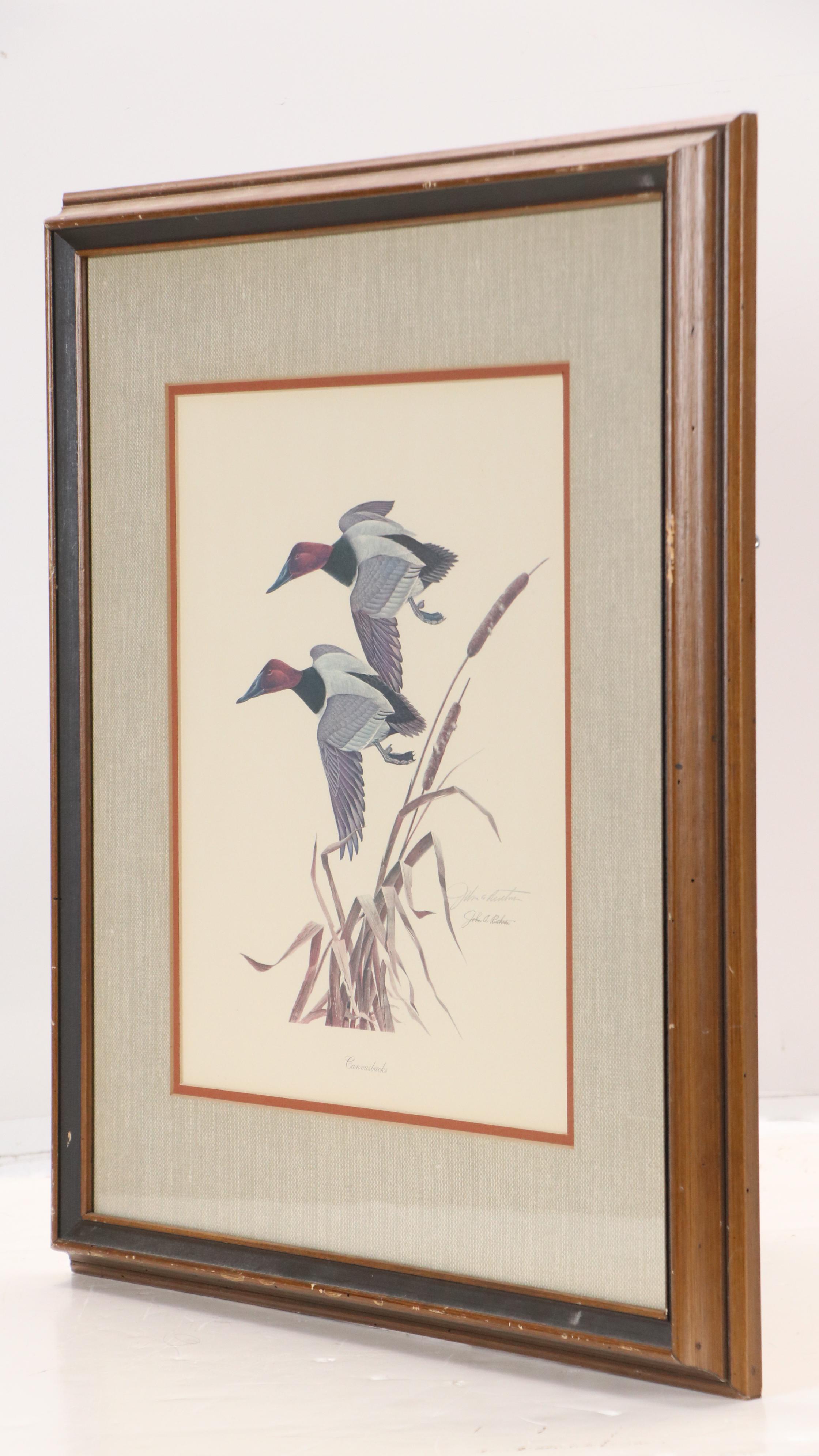John A. Ruthven Offset Lithograph "Canvasbacks," Mid to Late 20th Century
