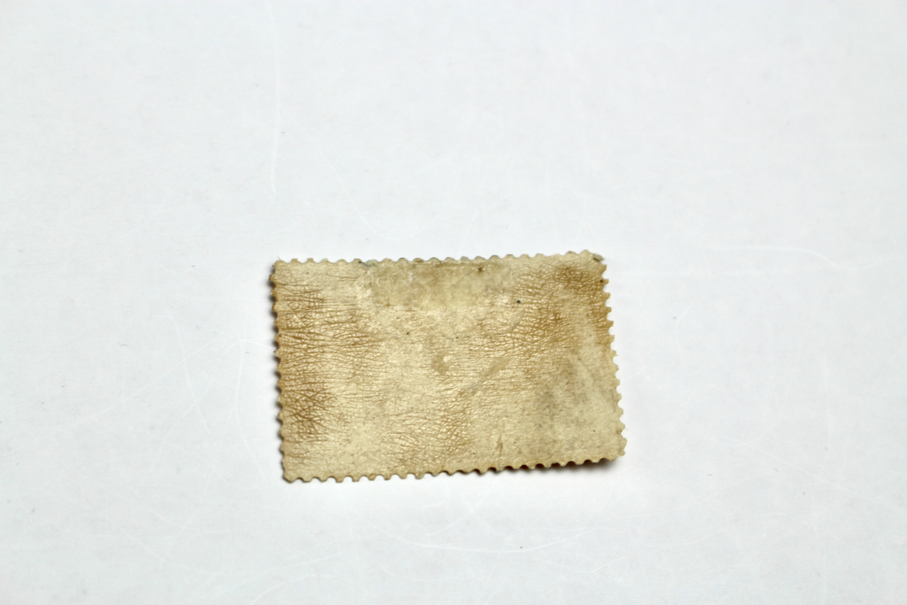 Scott 241 1893 $1 Columbian Exposition Postage Stamp, MH