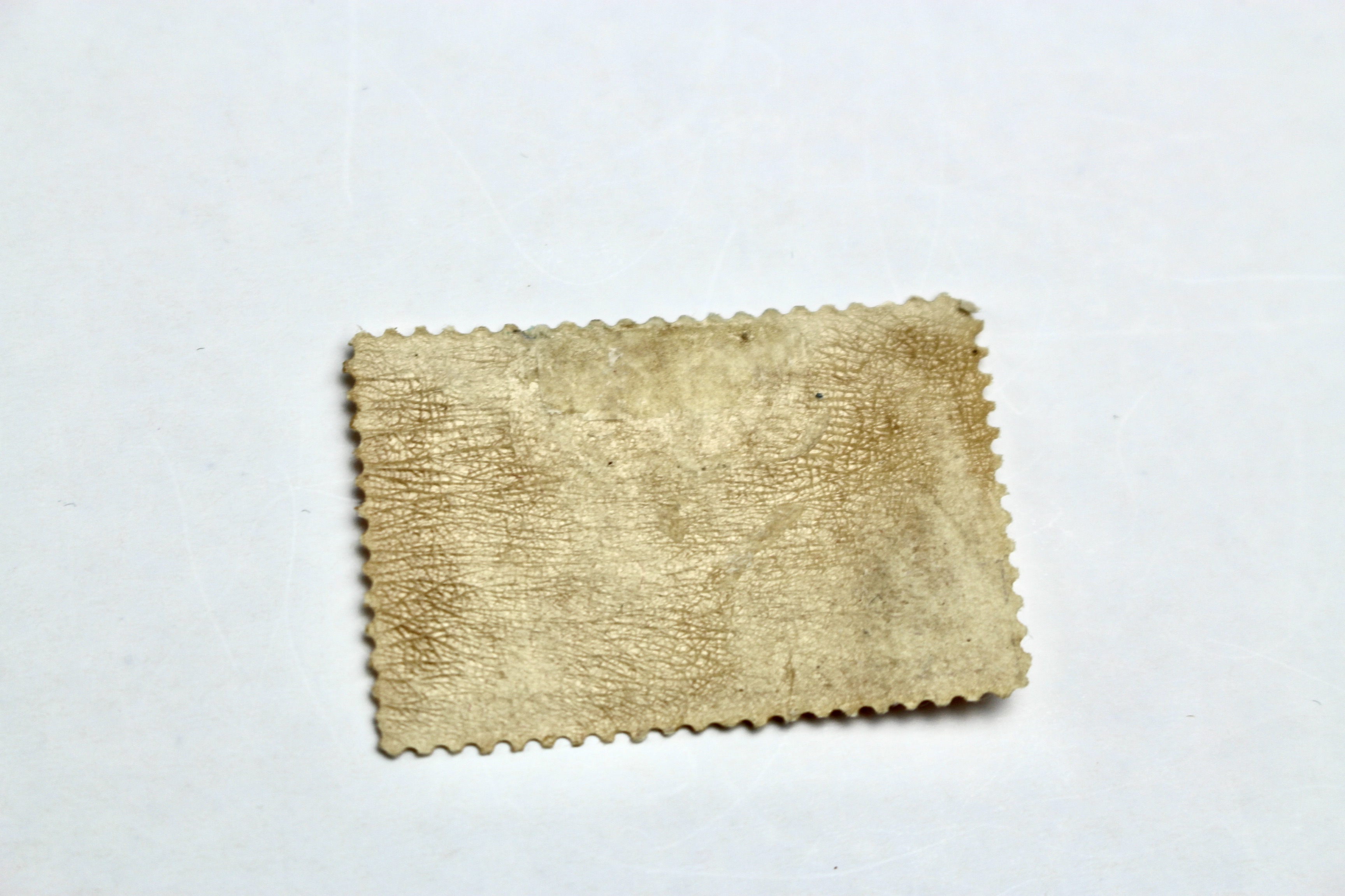 Scott 241 1893 $1 Columbian Exposition Postage Stamp, MH