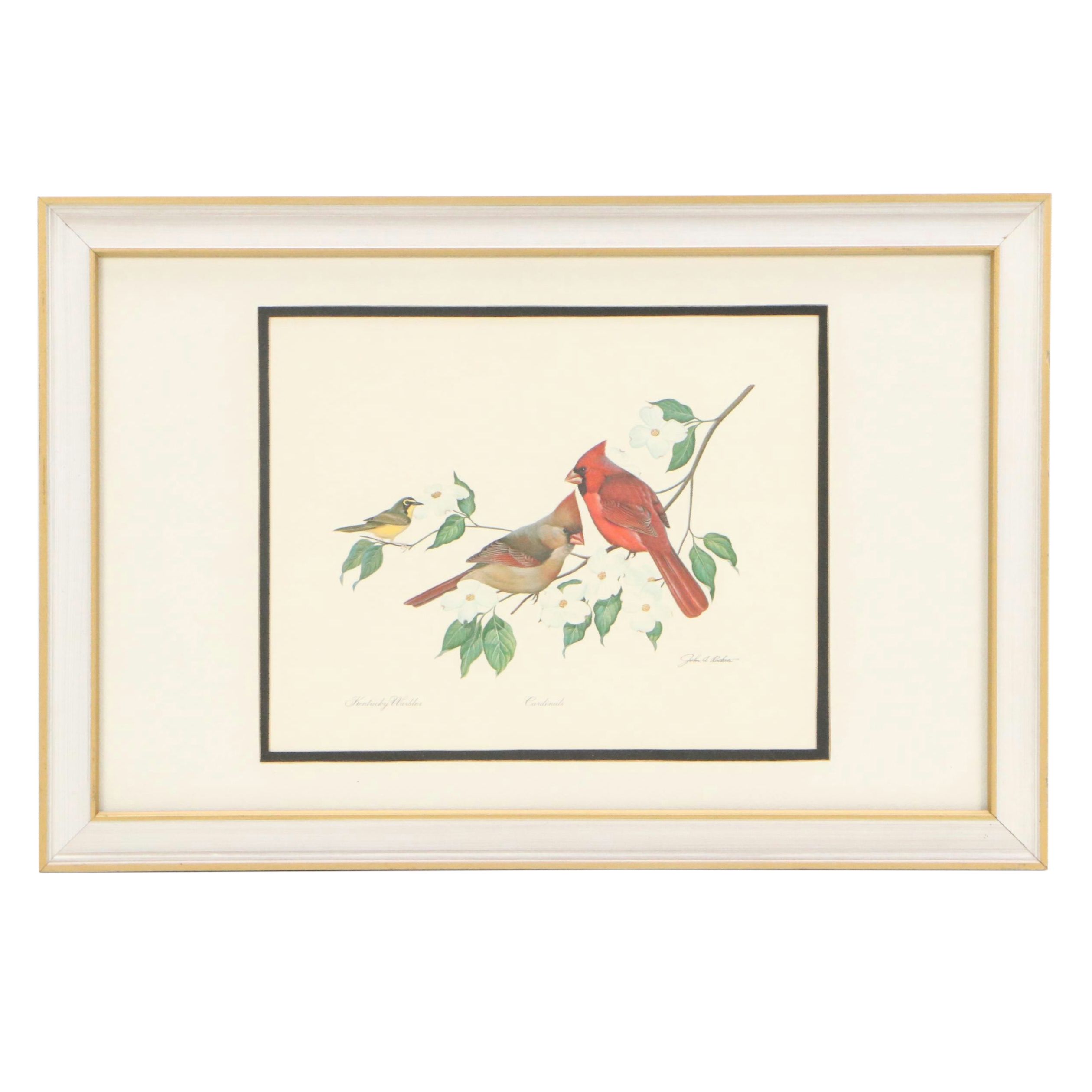 Offset Lithograph After John A. Ruthven  "Kentucky Warbler and Cardinals"