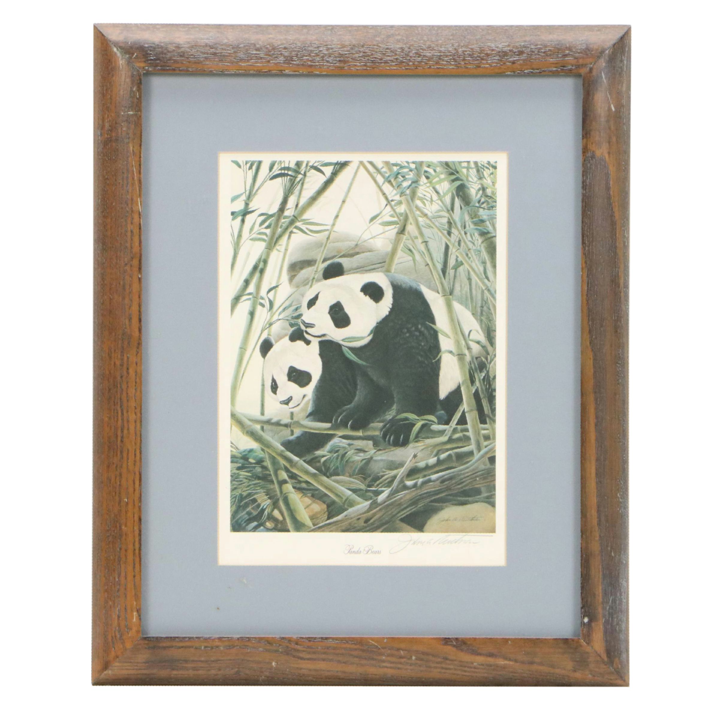 John A. Ruthven Offset Lithograph "Panda Bears," Late 20th Century
