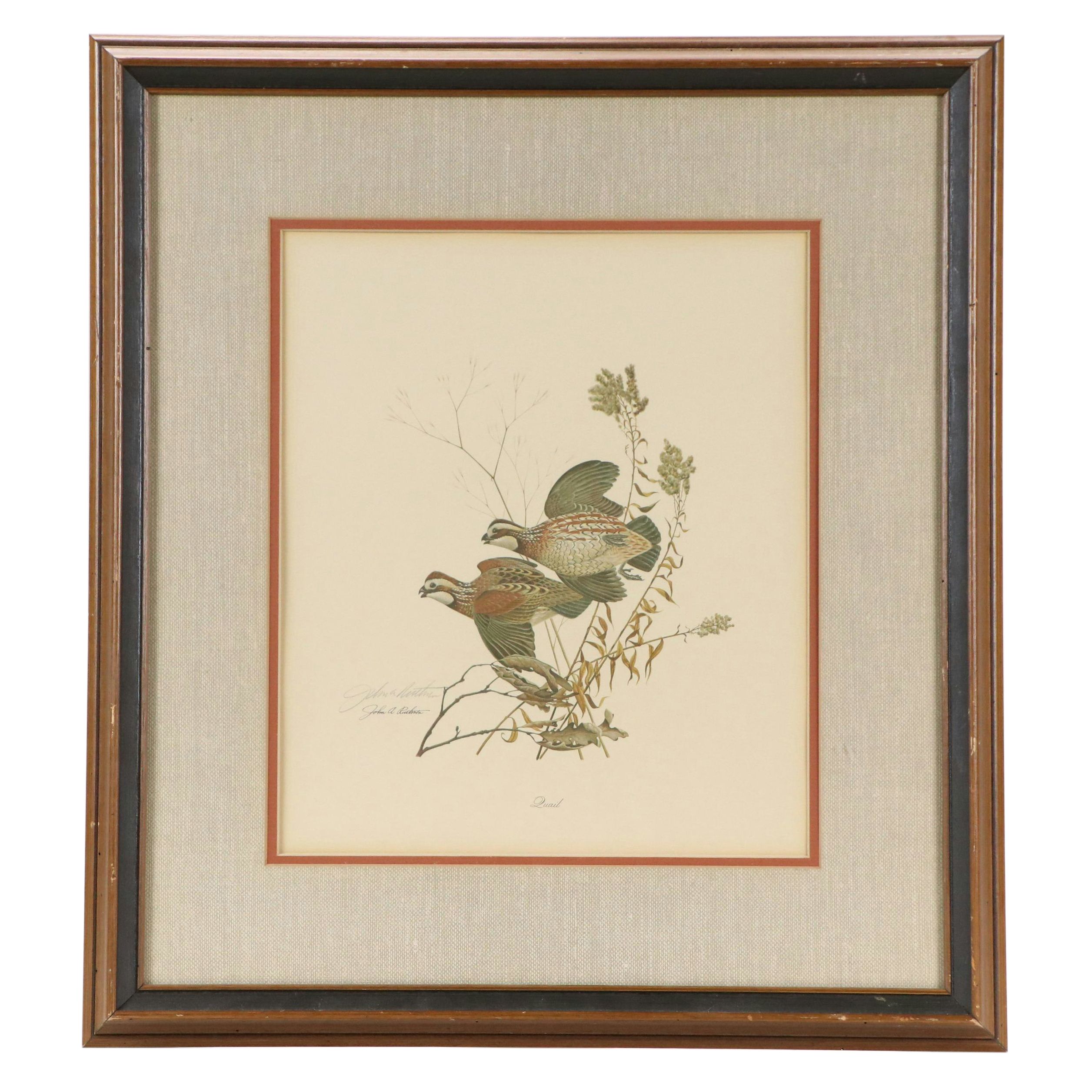 John A. Ruthven Offset Lithograph "Quail," Mid to Late 20th Century