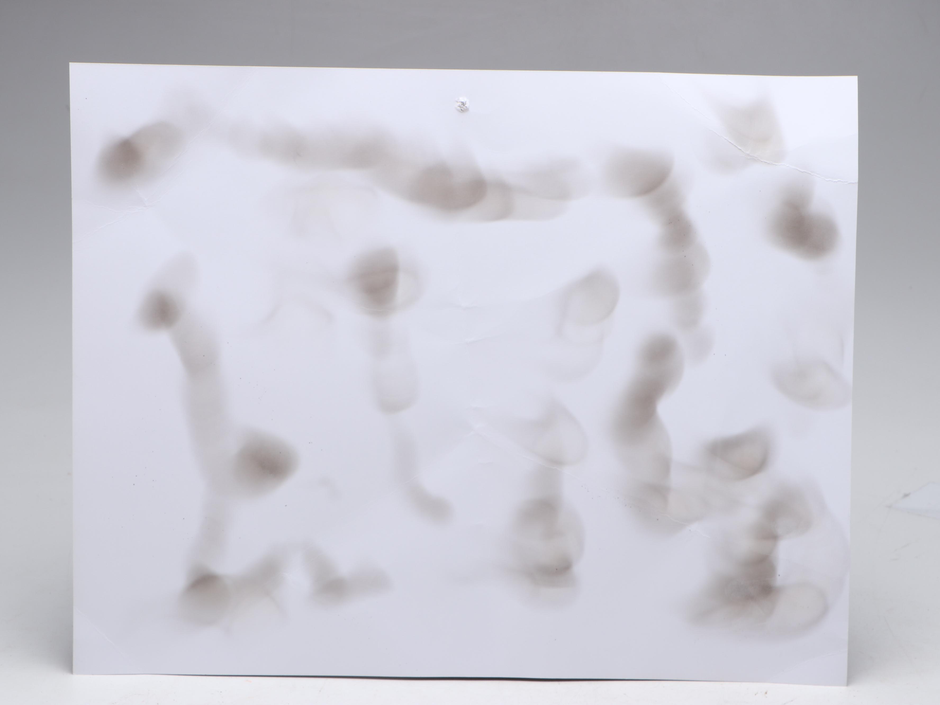 Prohibition Style Whisky Prescription Form with Reproduction Sign