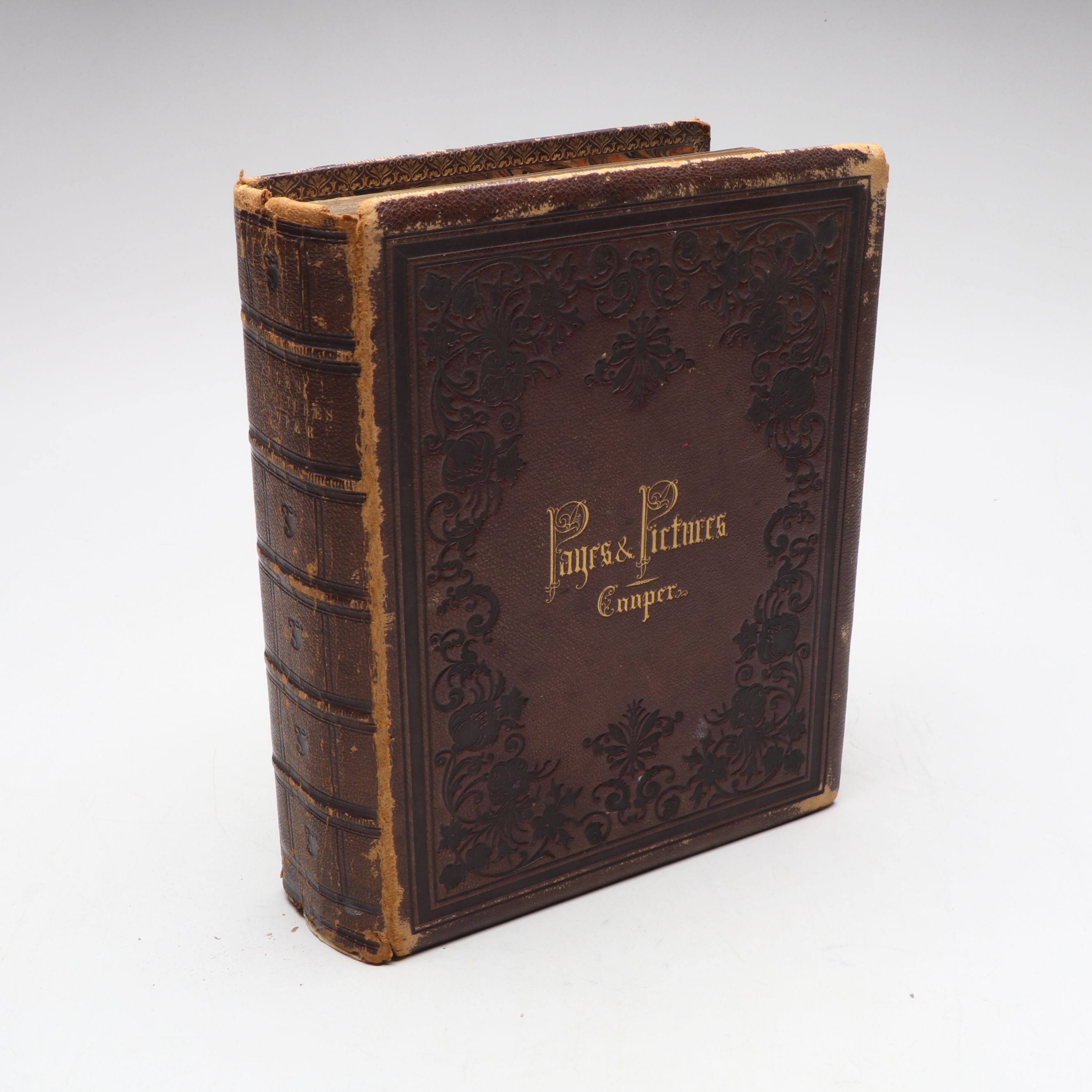 "Page and Pictures" by Susan Fenimore Cooper, 1865